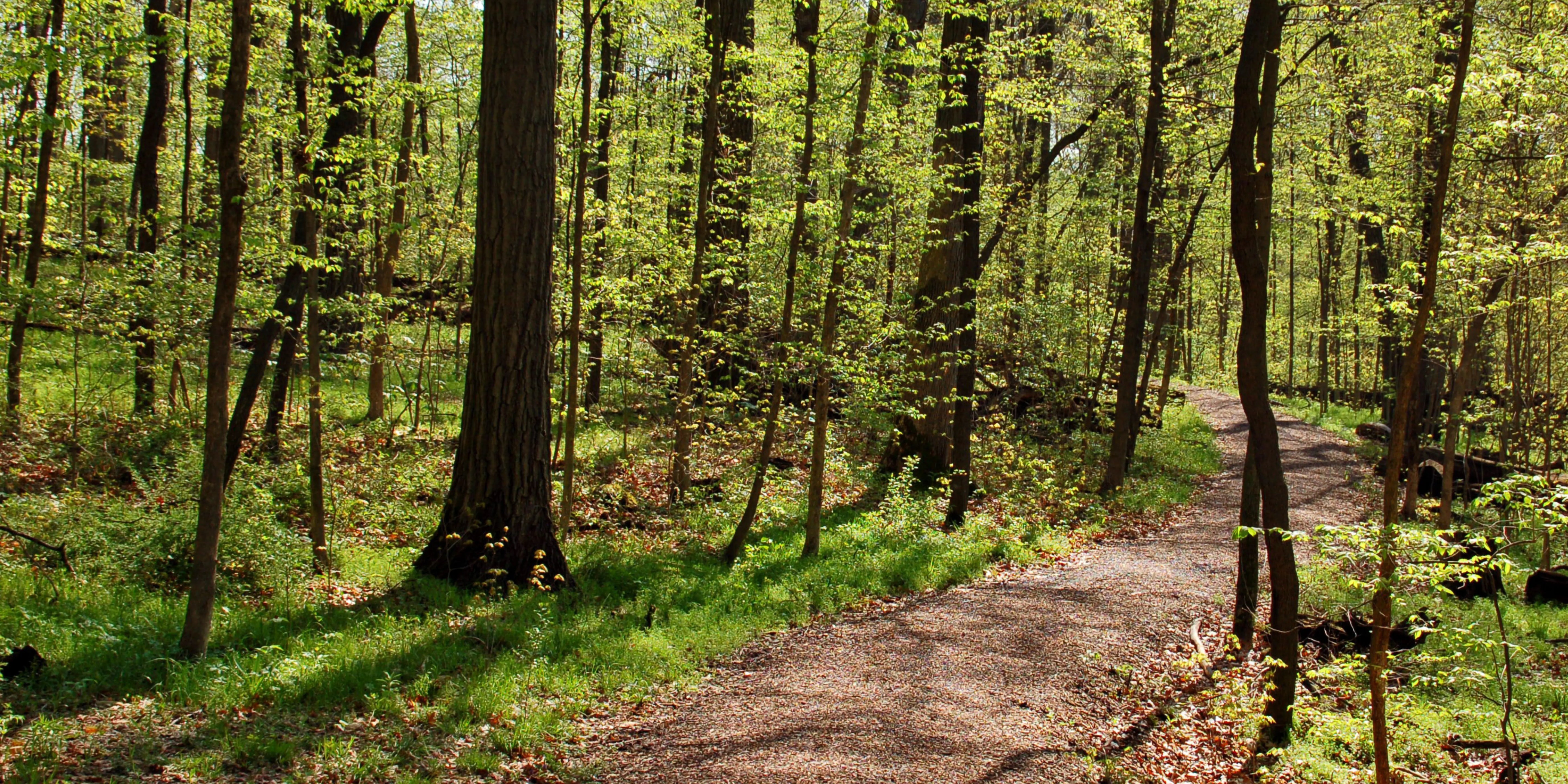 Maximize Power with These Top Talaria Battery Mods