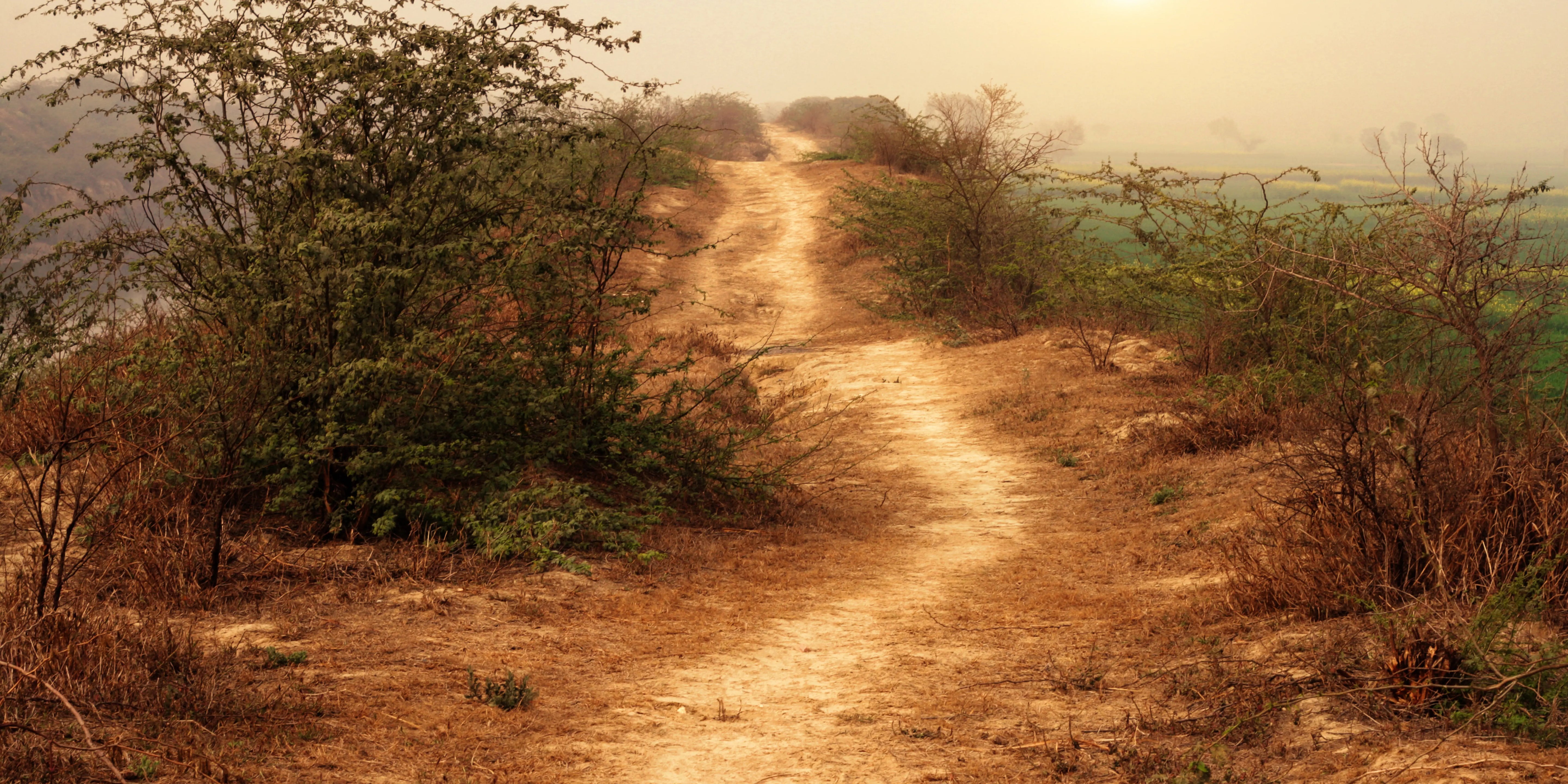 Electric Moto vs Gas: Which is Right for You?