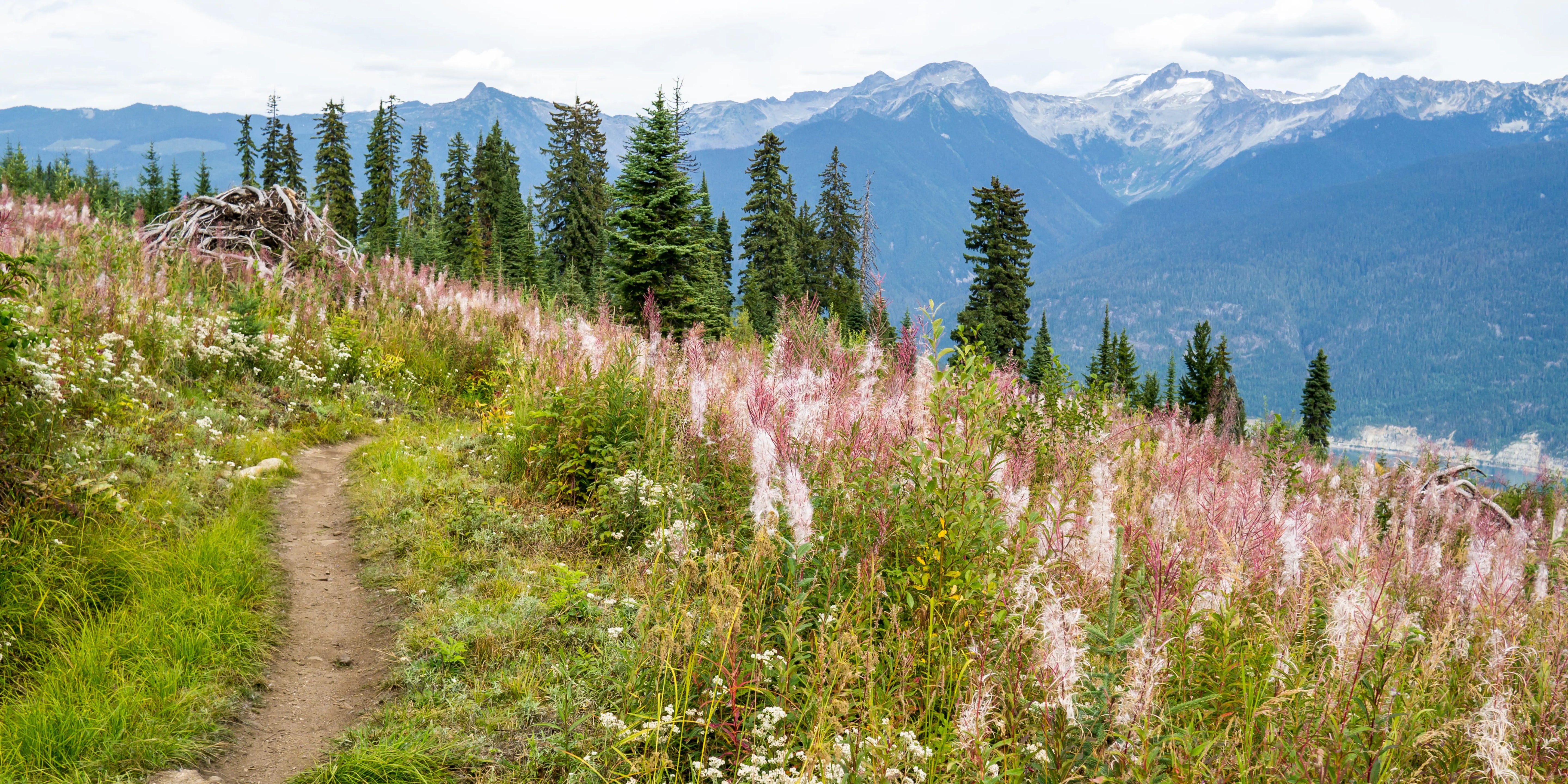 Level Up Your MX4: The Must-Have Performance Upgrades