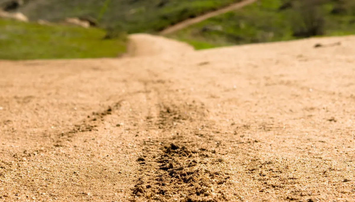 Upgrading Wheels and Tires: Choosing the Right Setup for Your Talaria