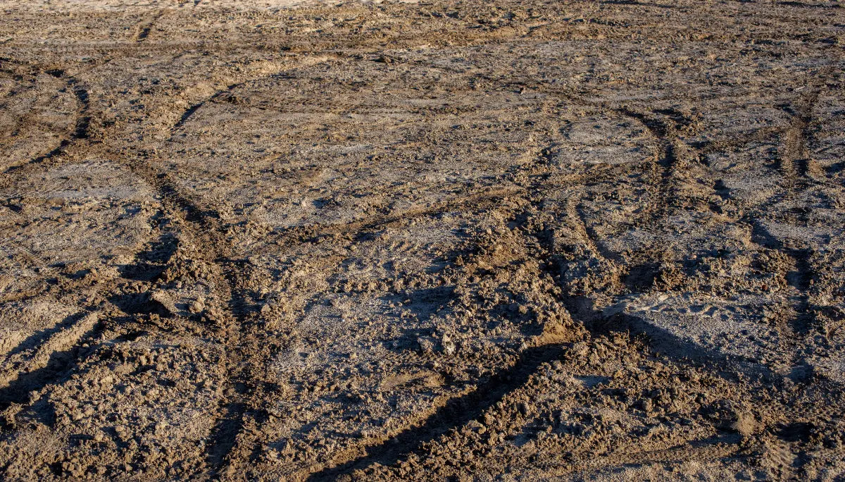 Customizing Your Cockpit: Handlebar and Switch Upgrades for Talaria Bikes