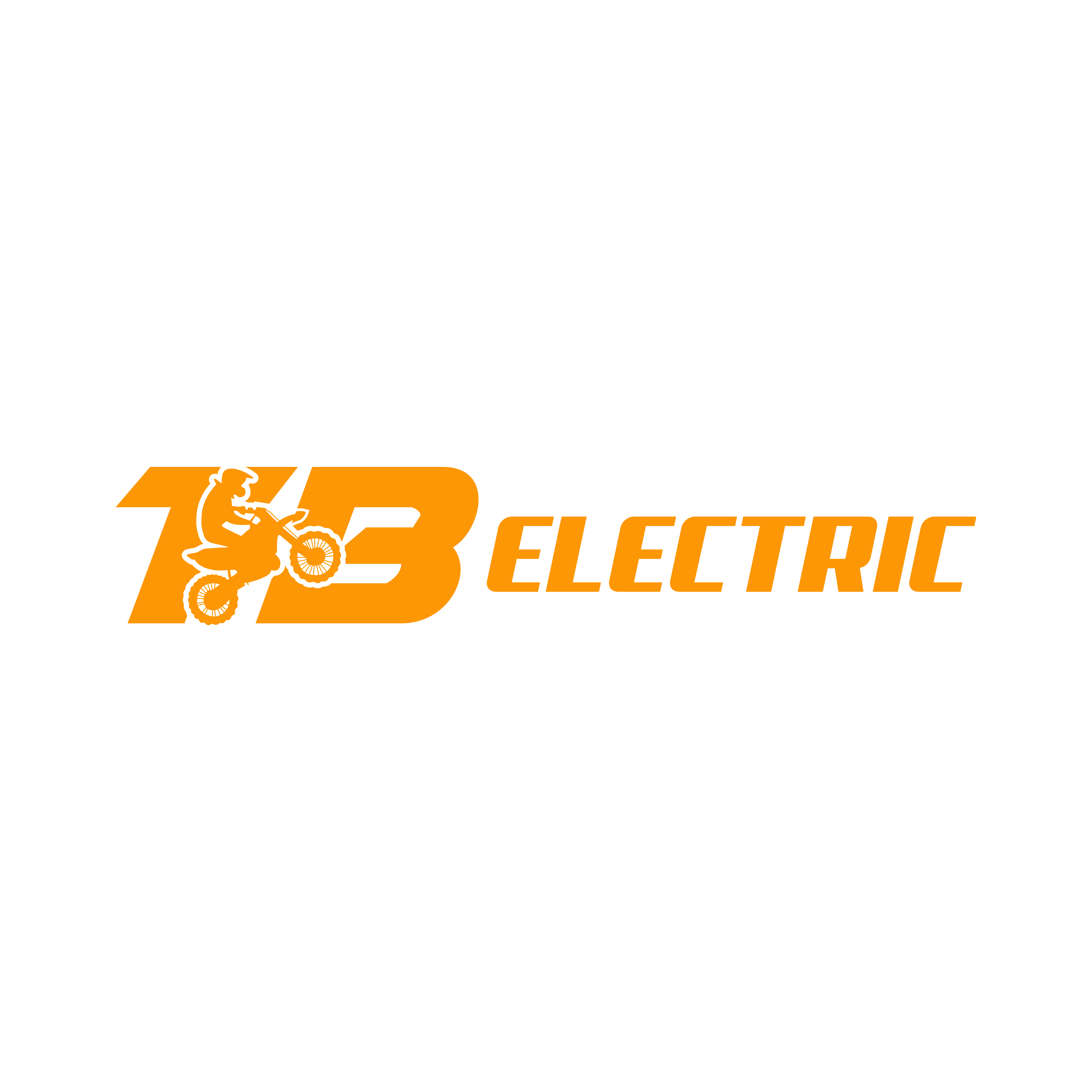 TB Electric