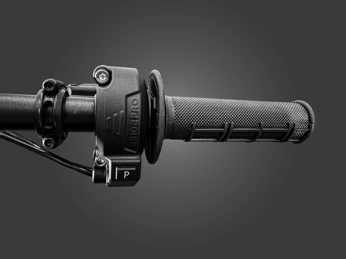 2025 E-Ride Pro Mini