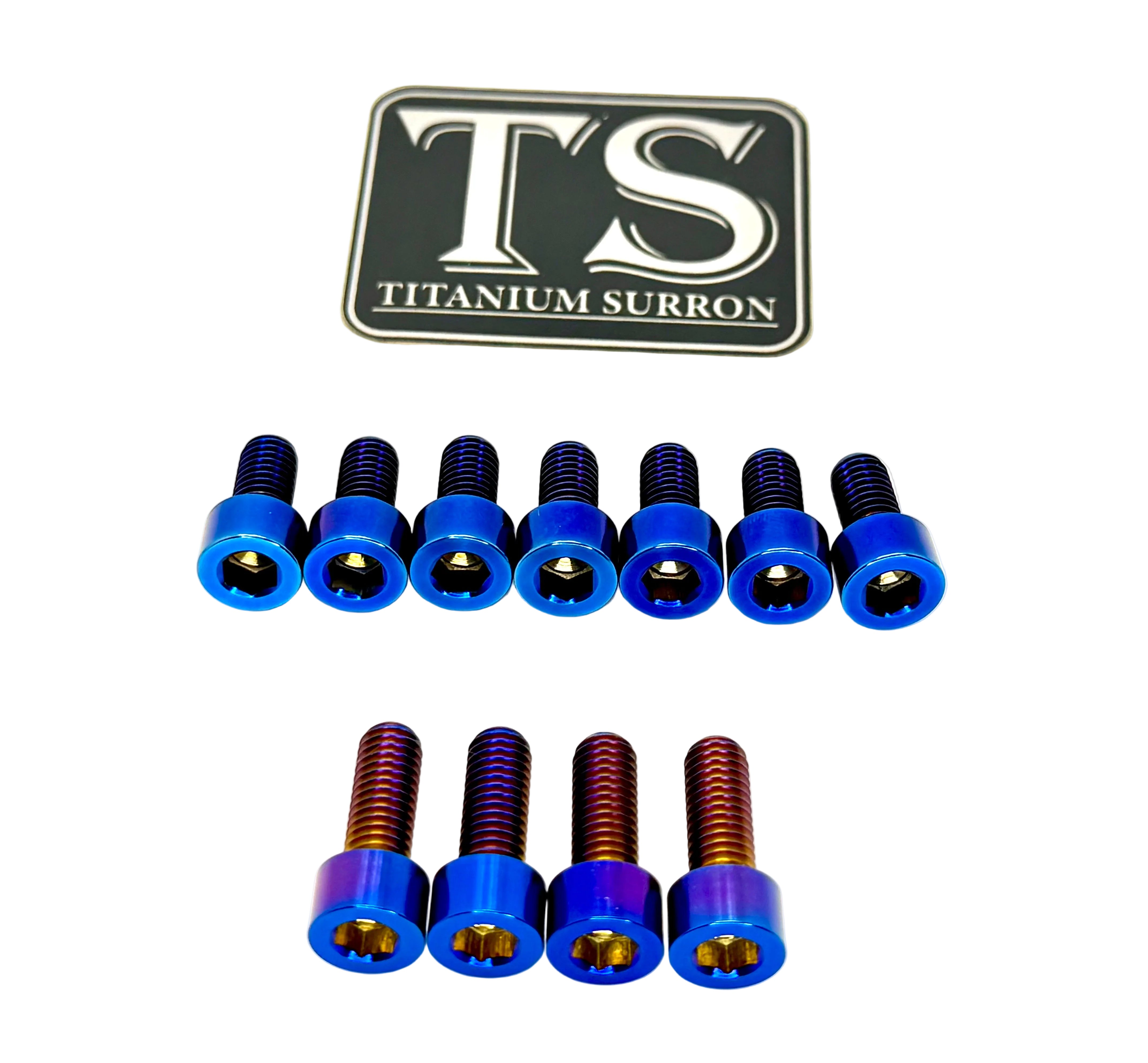 EXT Fork Titanium Bolt 11 Piece Kits