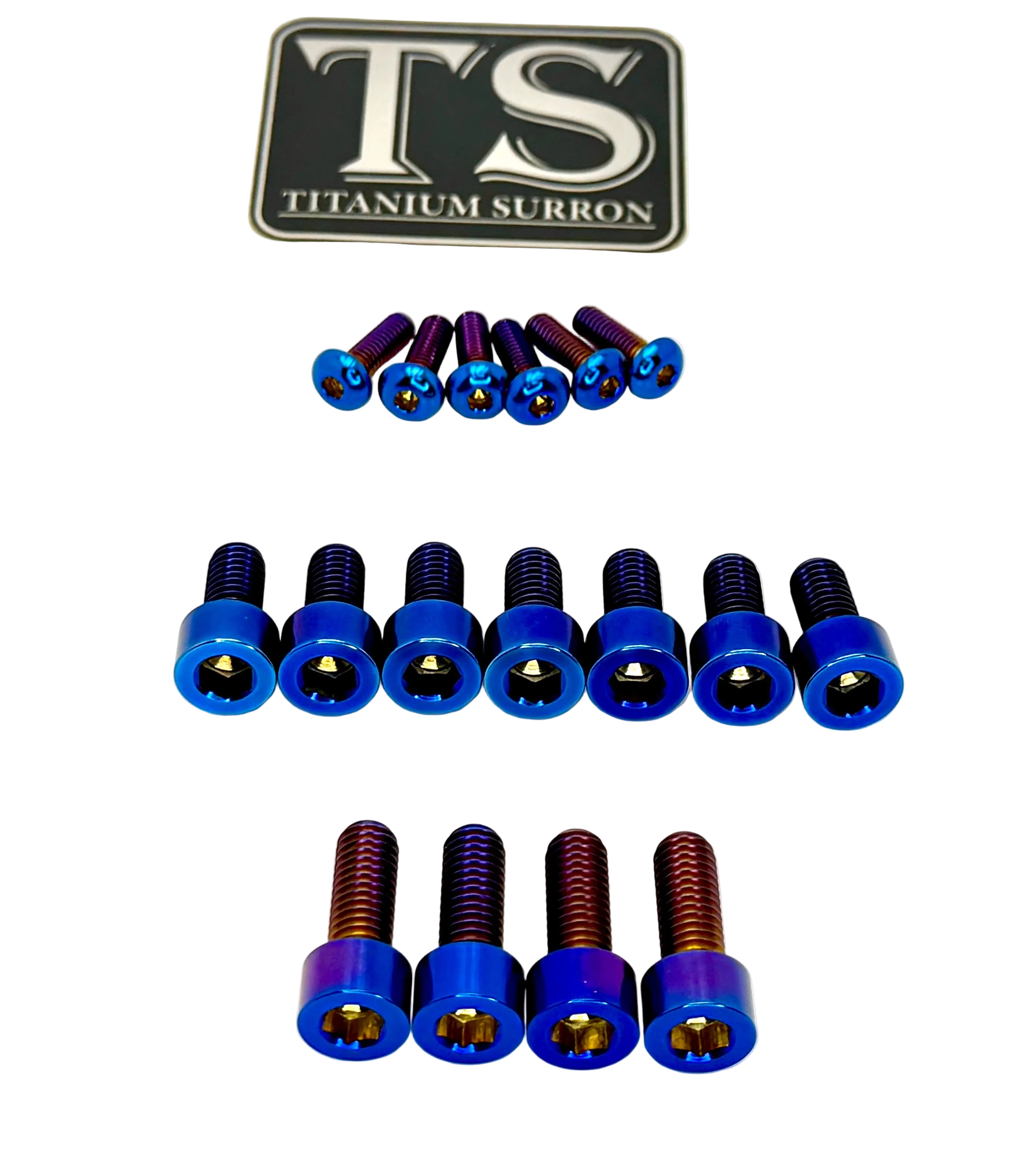 EXT Fork Titanium Bolt 11 Piece Kits