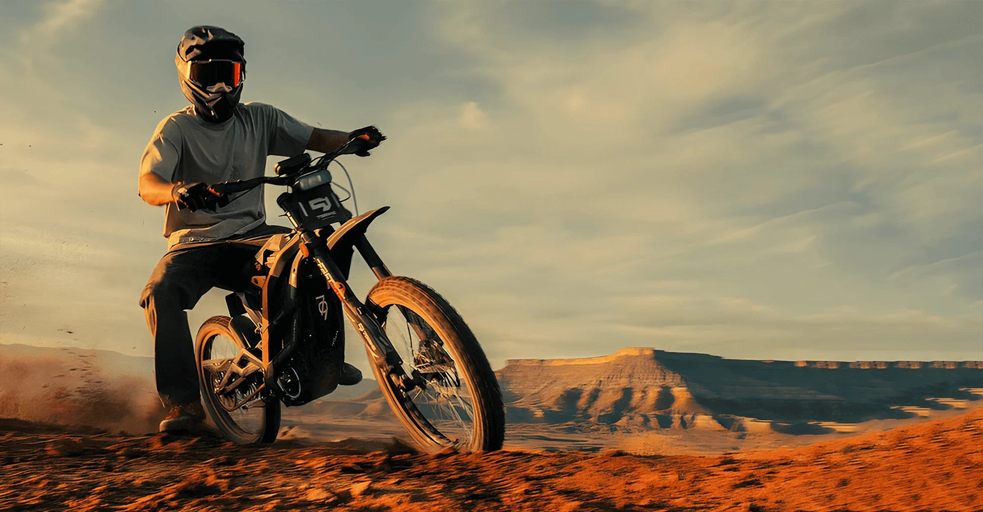79Bike Falcon Pro