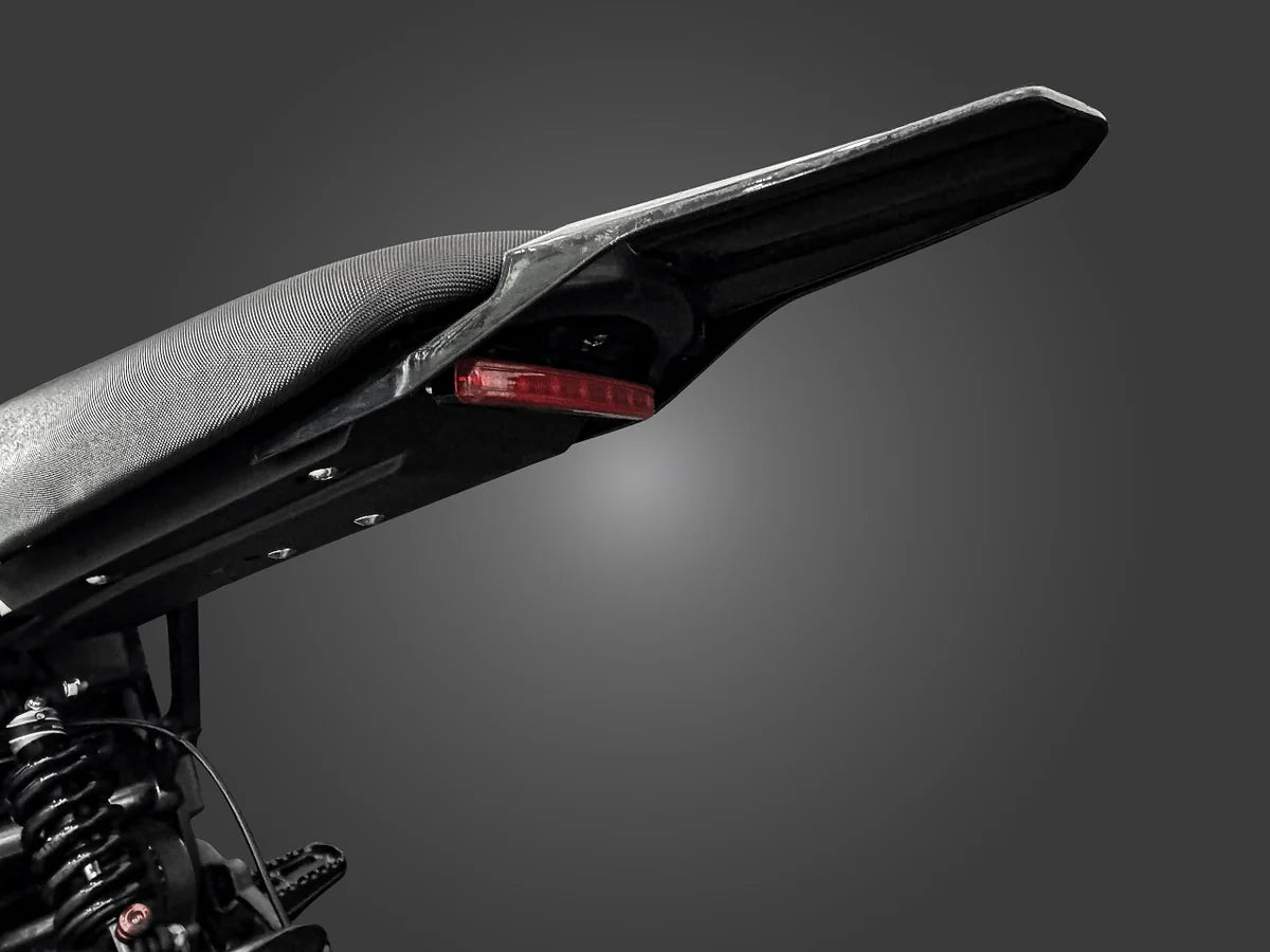 2025 E-Ride Pro Mini