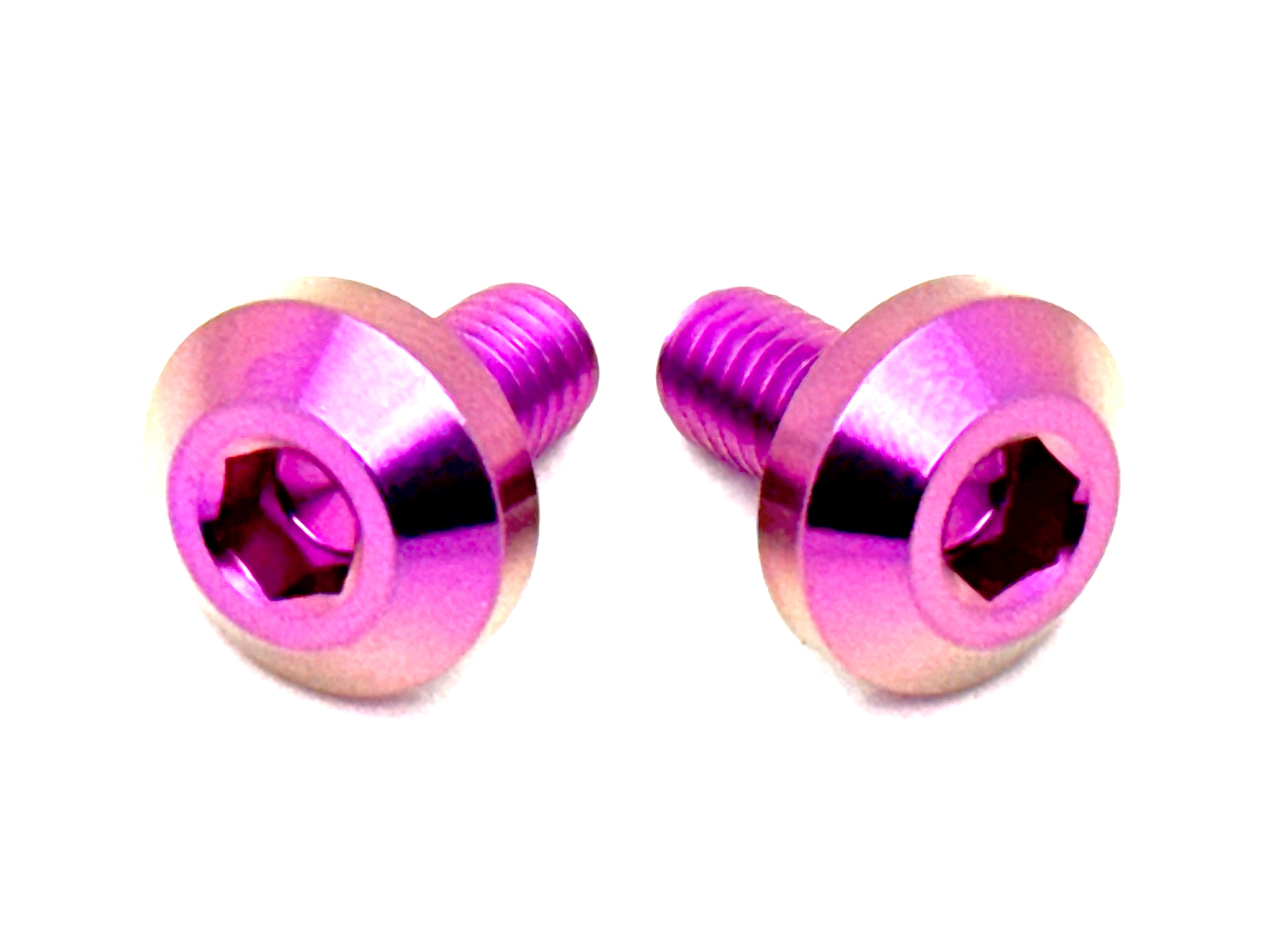 Titanium Chain Guard Bolts Surron & Segway (Set of 2)