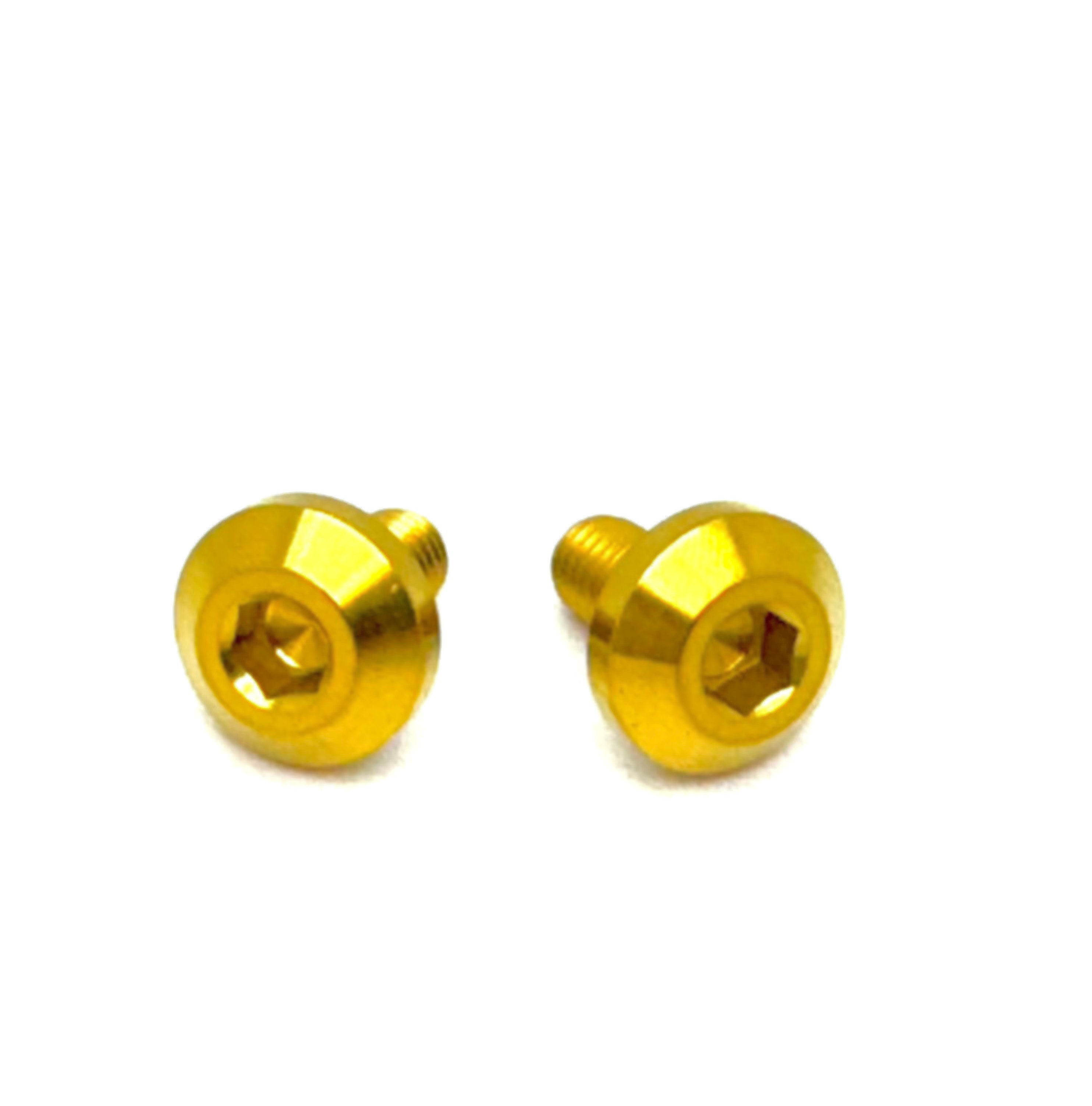 Titanium Chain Guard Bolts Surron & Segway (Set of 2)
