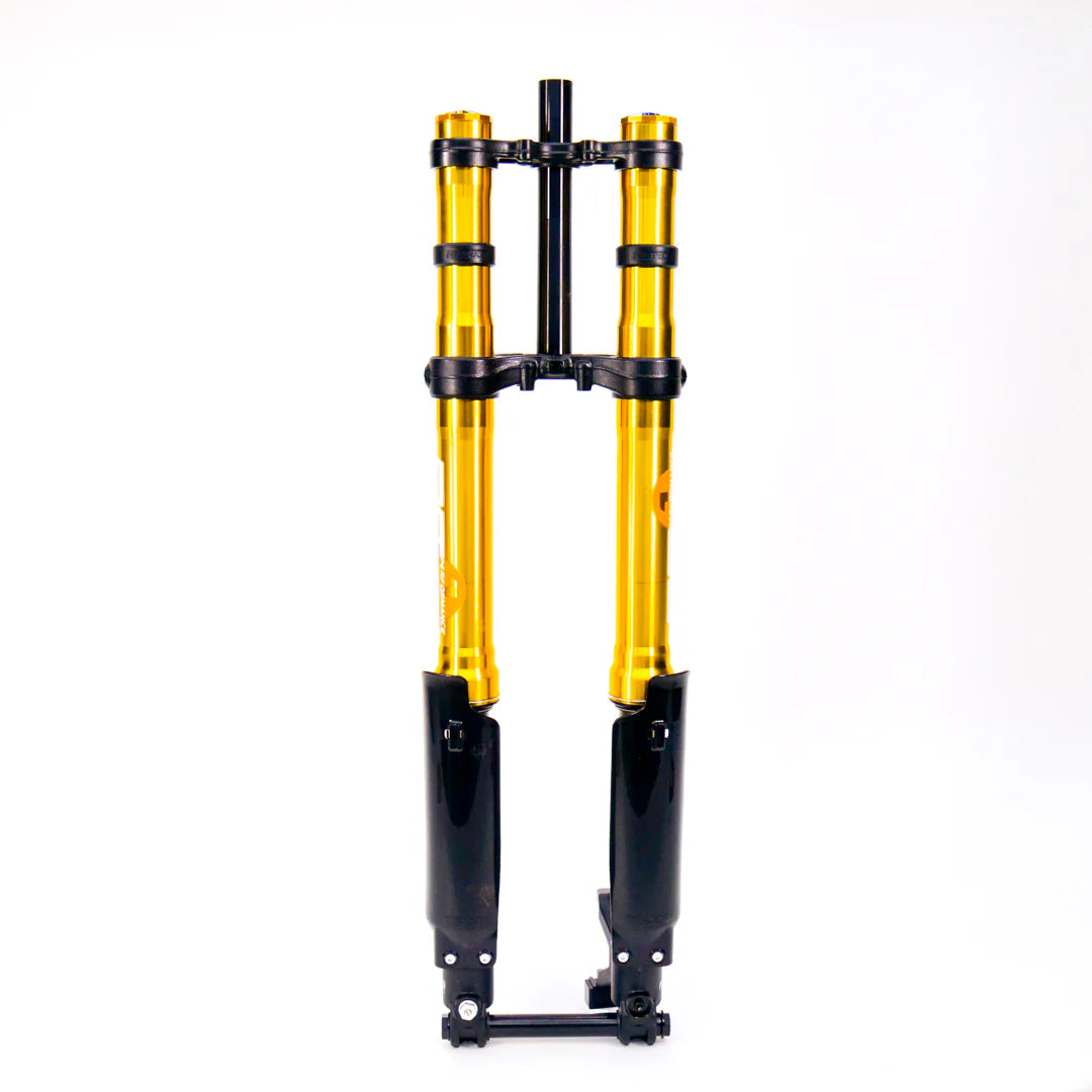 Fastace ALX13RC 2.0 Fork