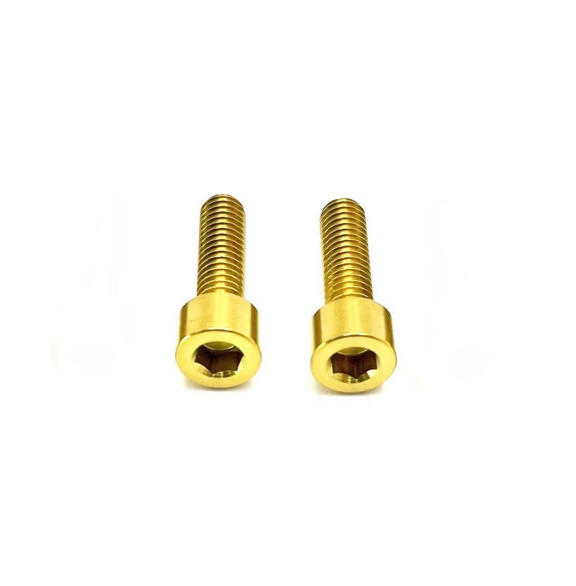 Titanium Triangle OEM Style Bolts - Surron LBS LBX, Segway X160 X260 (2)