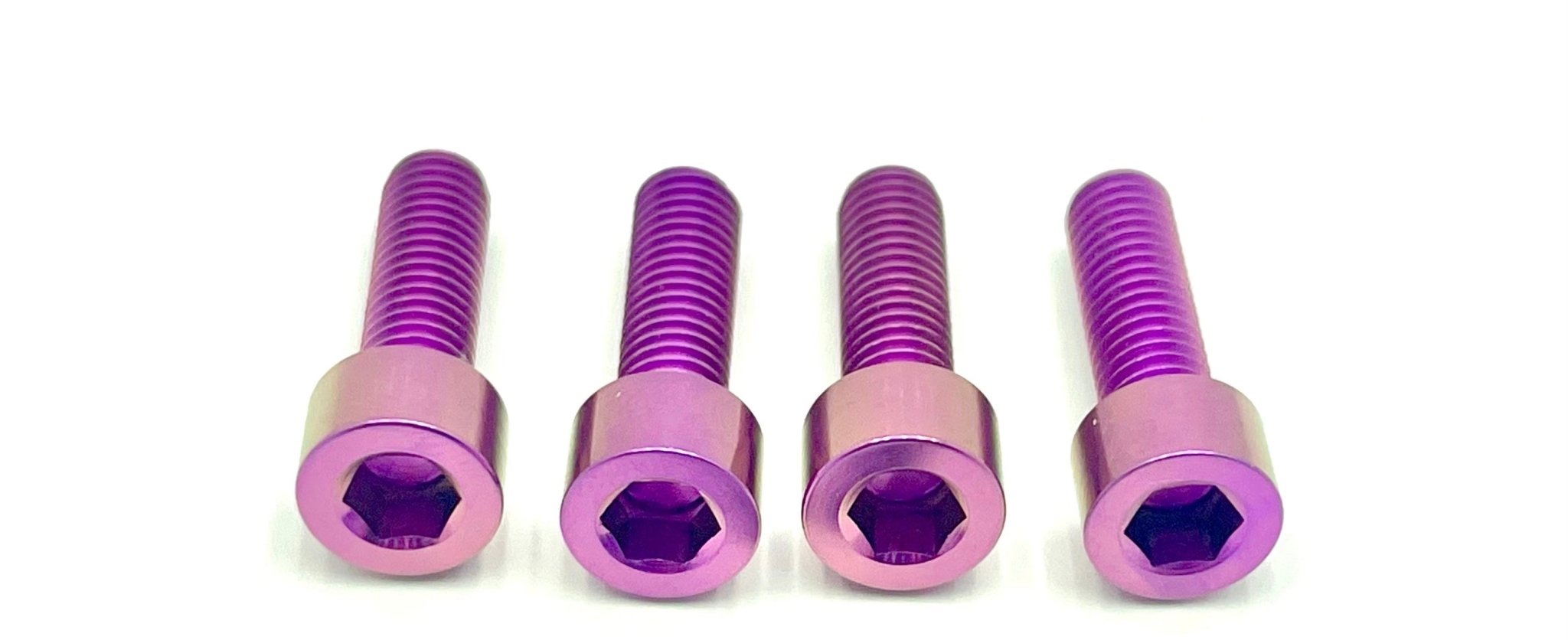 Axle Pinch Titanium Bolts for FastAce 2.0 and E-Ride Pro Forks