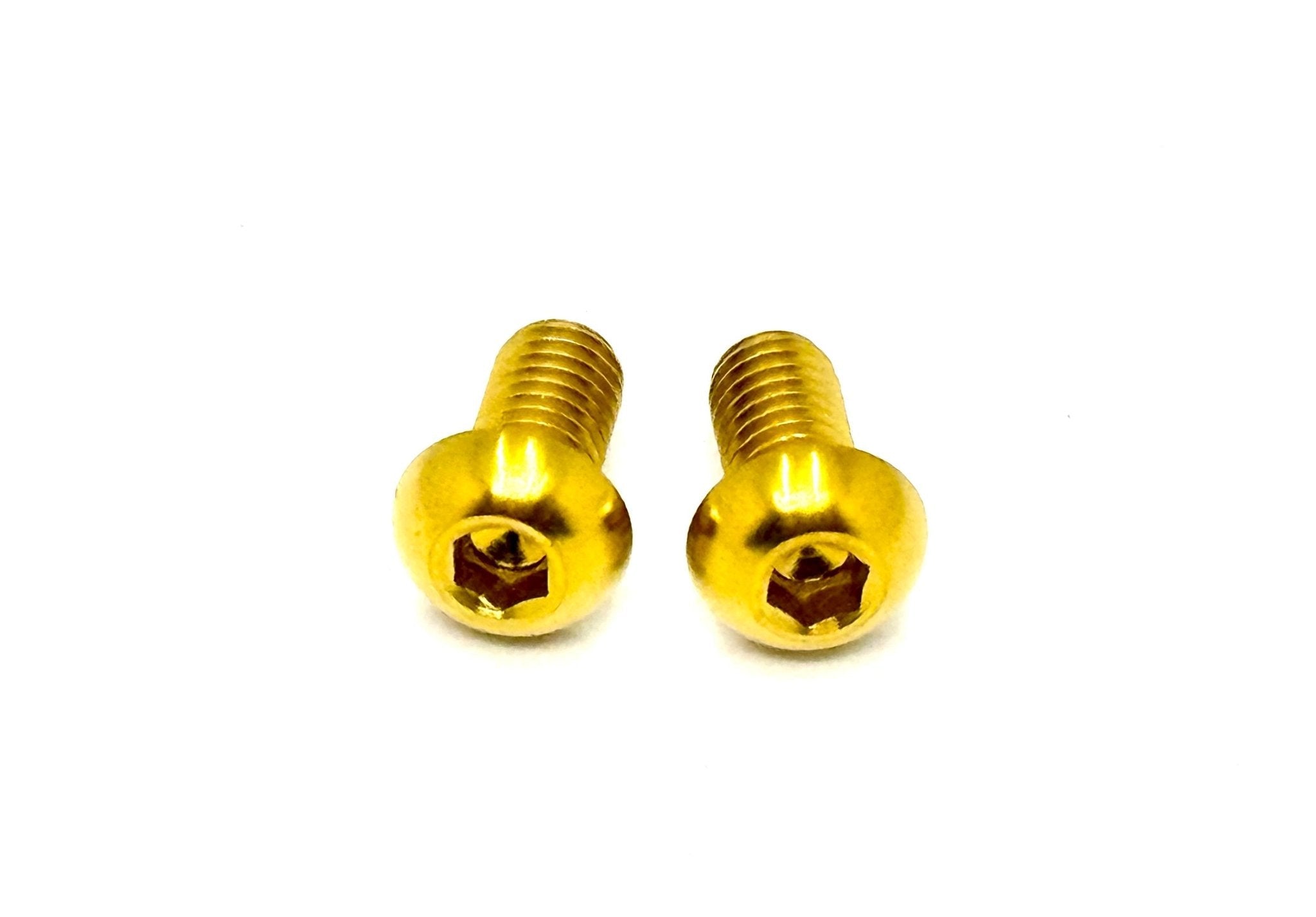 Battery Lid Lock Cover Bolts (Set of Two) Surron, Segway, E-Ride pro