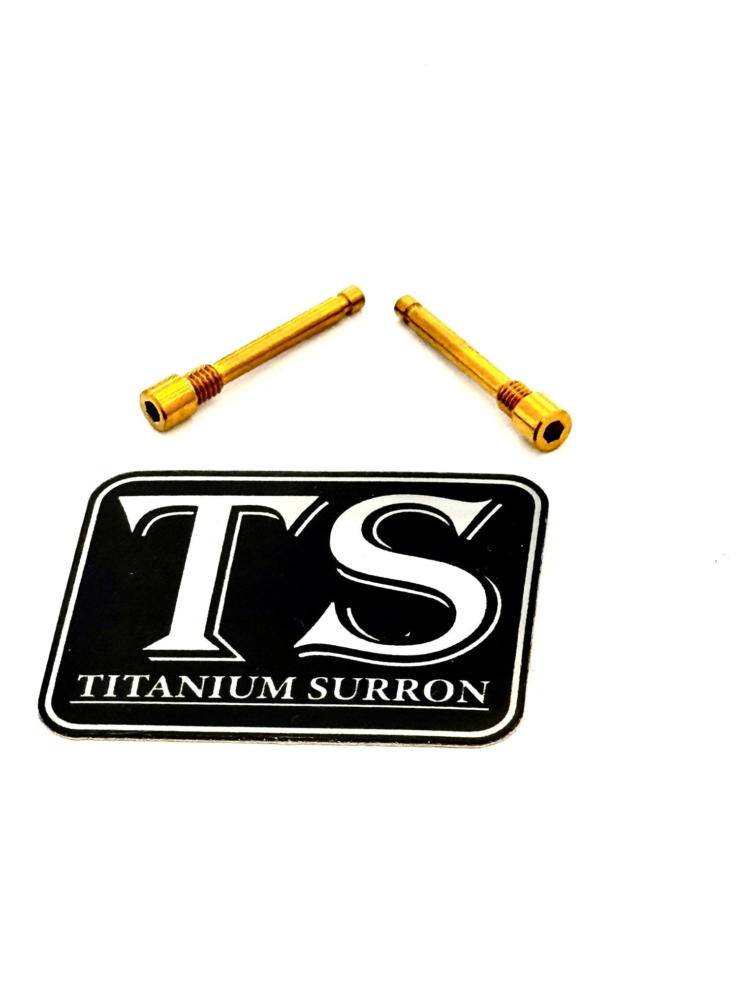 Titanium Brake-Pad Screws/ Pins - Surron LBS LBX, Segway X160 X260, Talaria