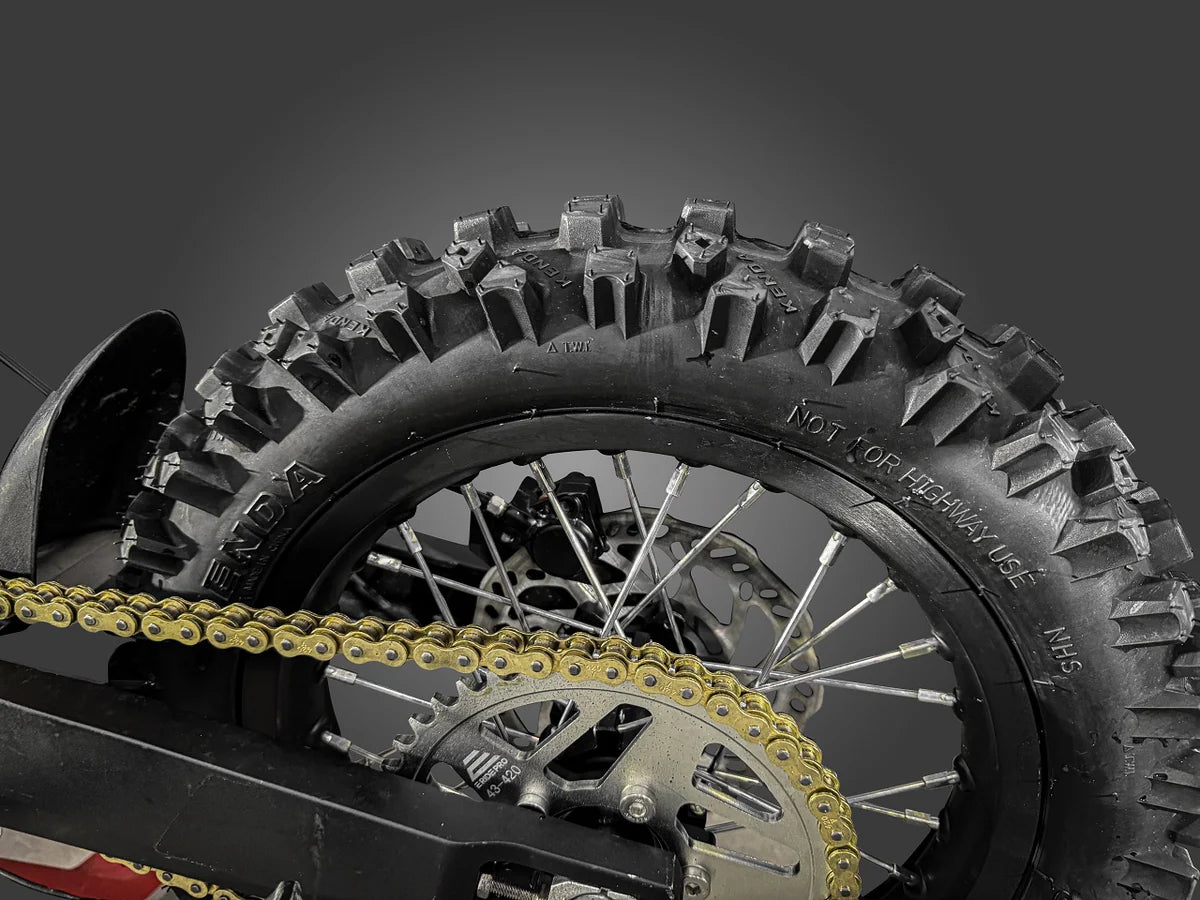 2025 E-Ride Pro Mini