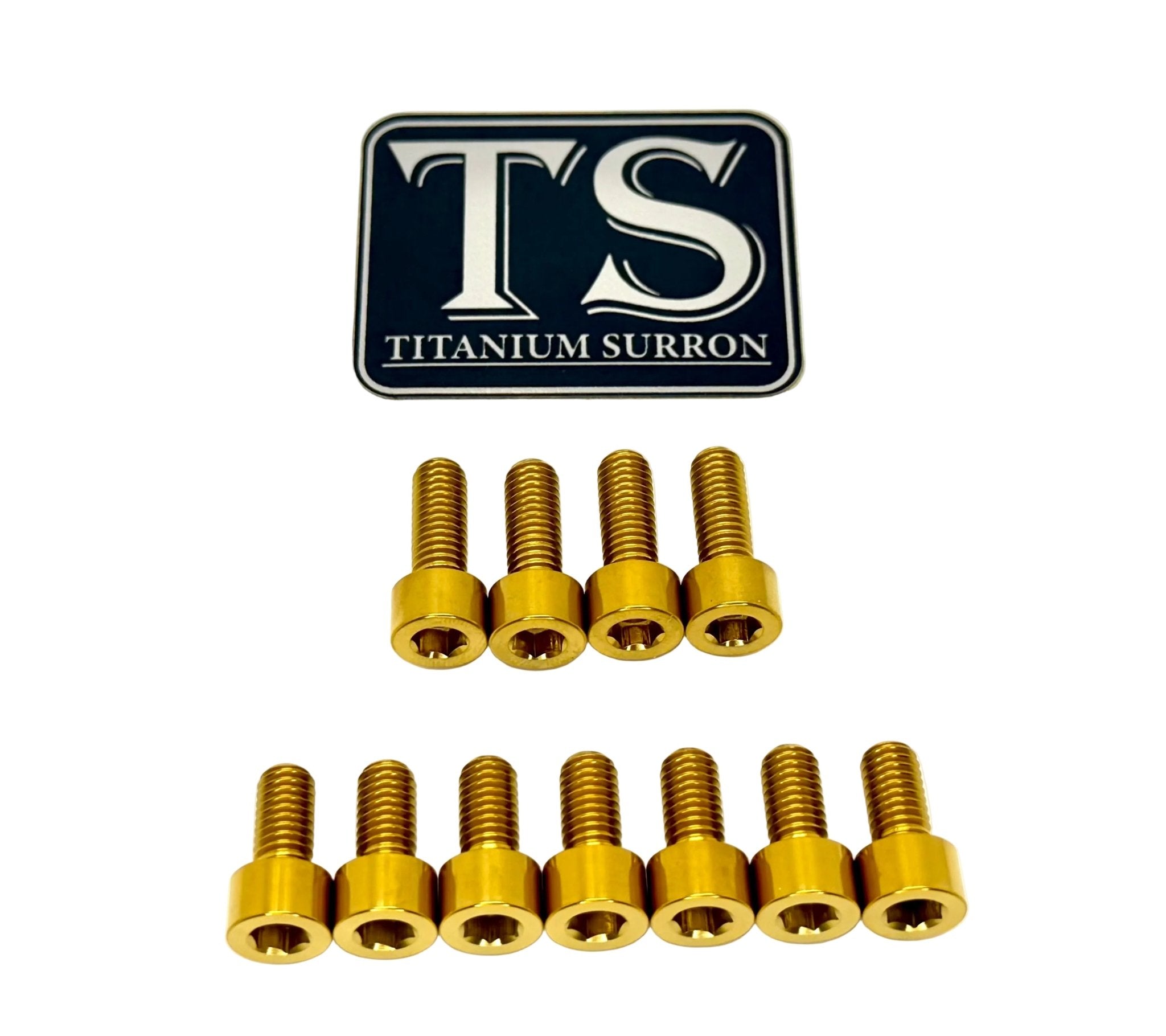 Fox 40 and Bomber 58 Fork Titanium Bolt Kits
