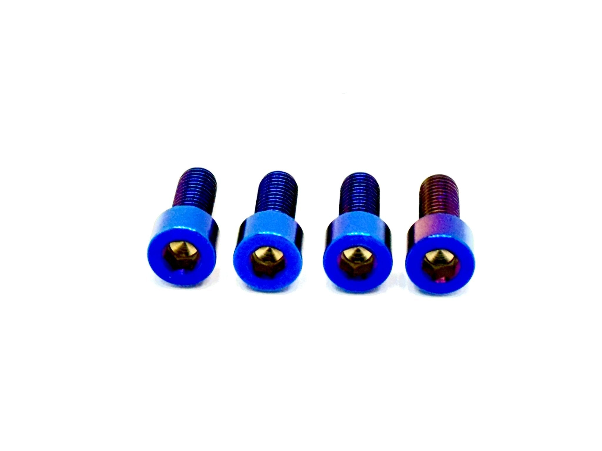 まろん　0423 Titanium Bash Guard/ Skid Plate Bolts - Surron LBX and