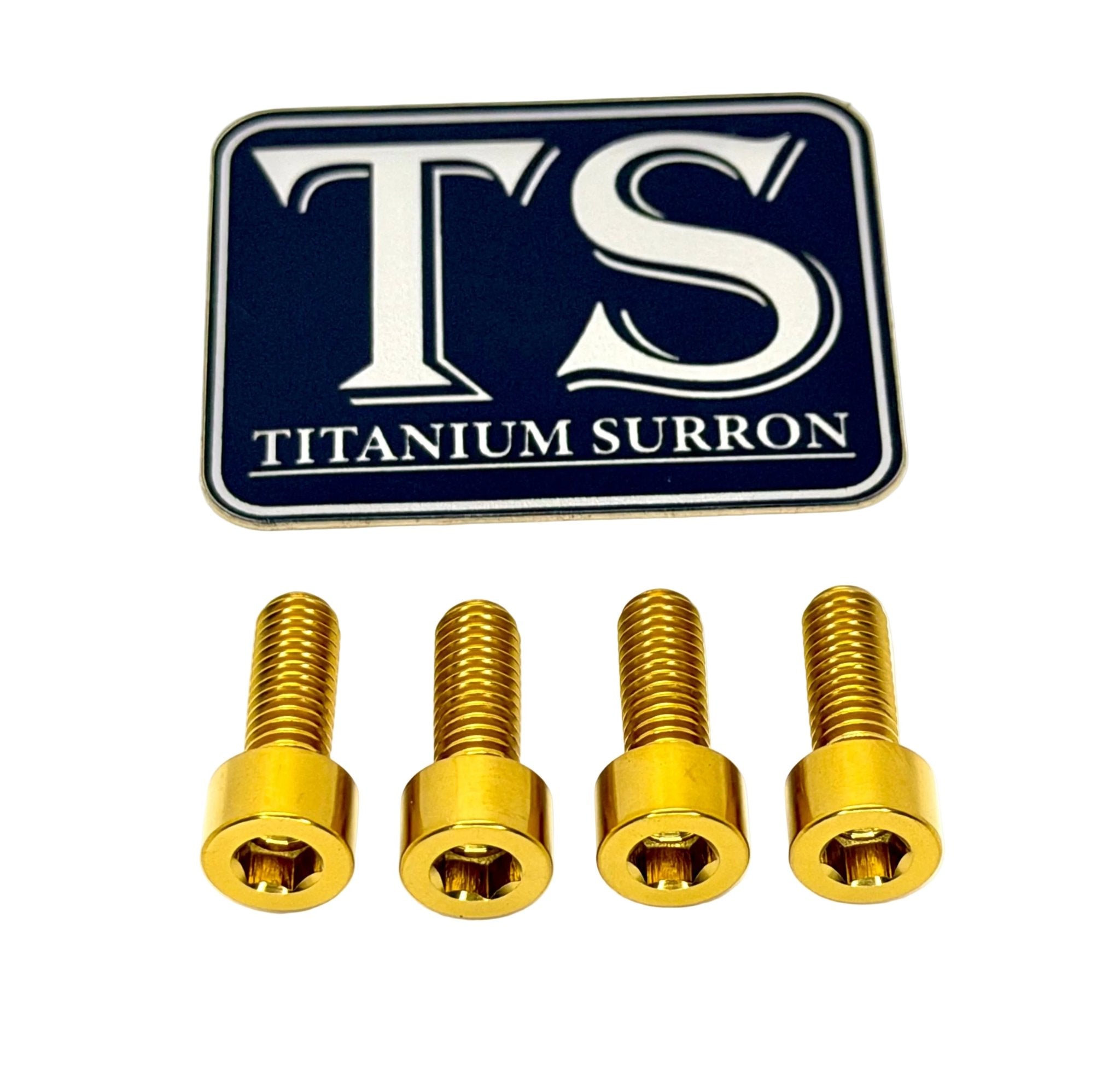 Titanium Controller Mount Bolts for Surron, Talaria Sting & XXX, E-Ride Pro