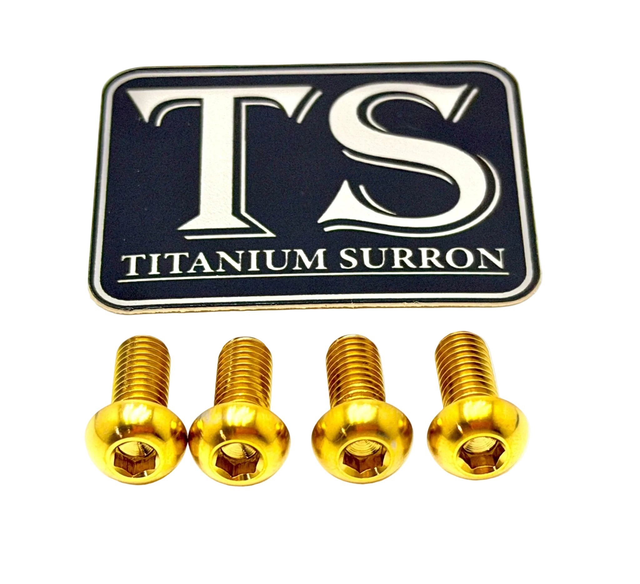 Titanium Controller Mount Bolts for Surron, Talaria Sting & XXX, E-Ride Pro