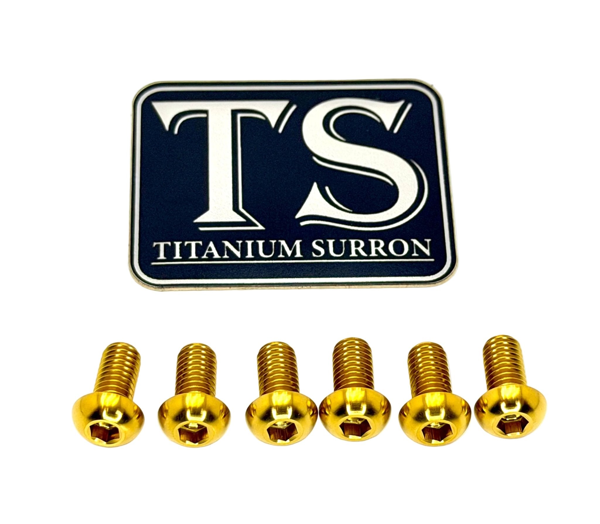 Titanium Controller Mount Bolts for Surron, Talaria Sting & XXX, E-Ride Pro