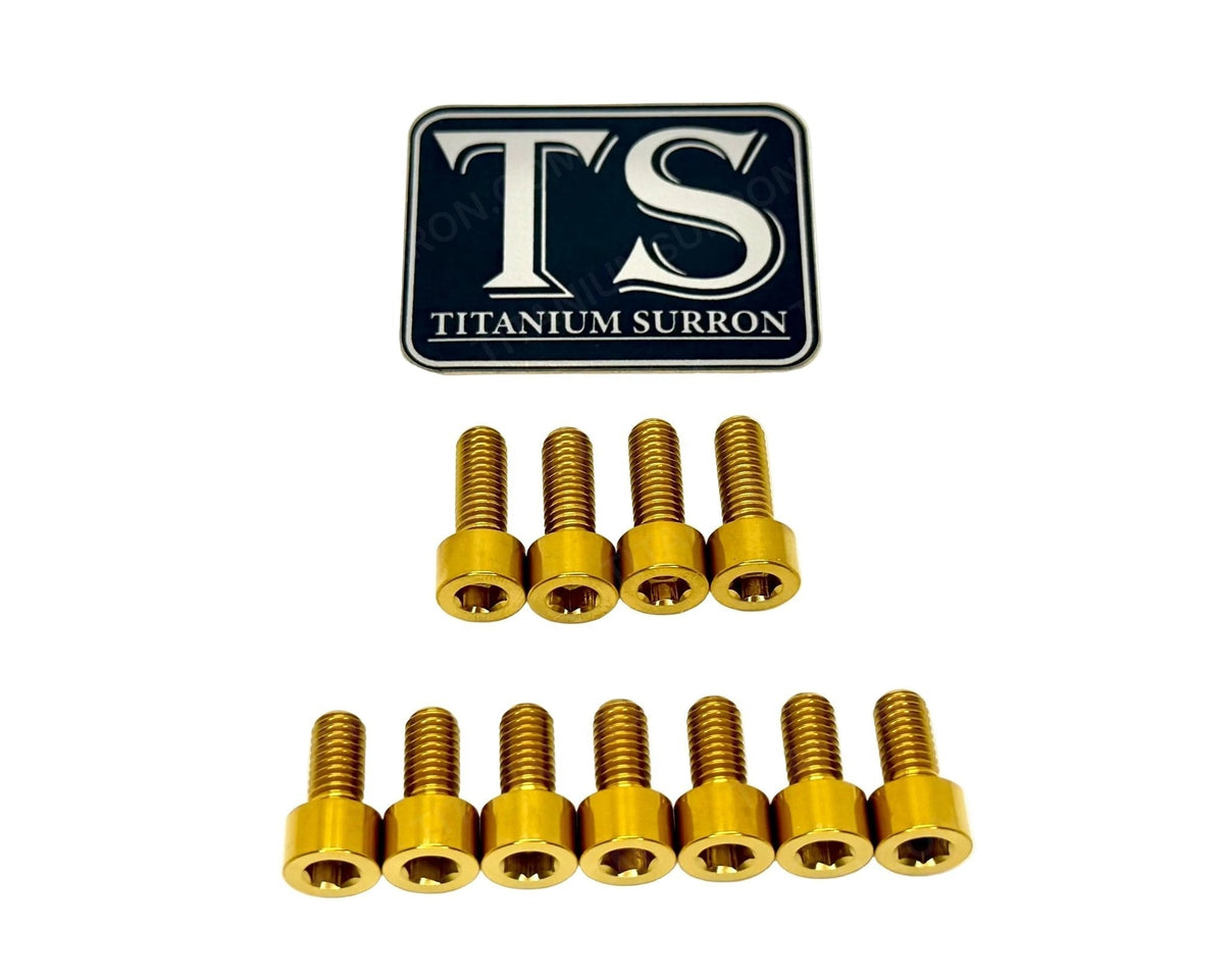 EXT Fork Titanium Bolt 11 Piece Kits