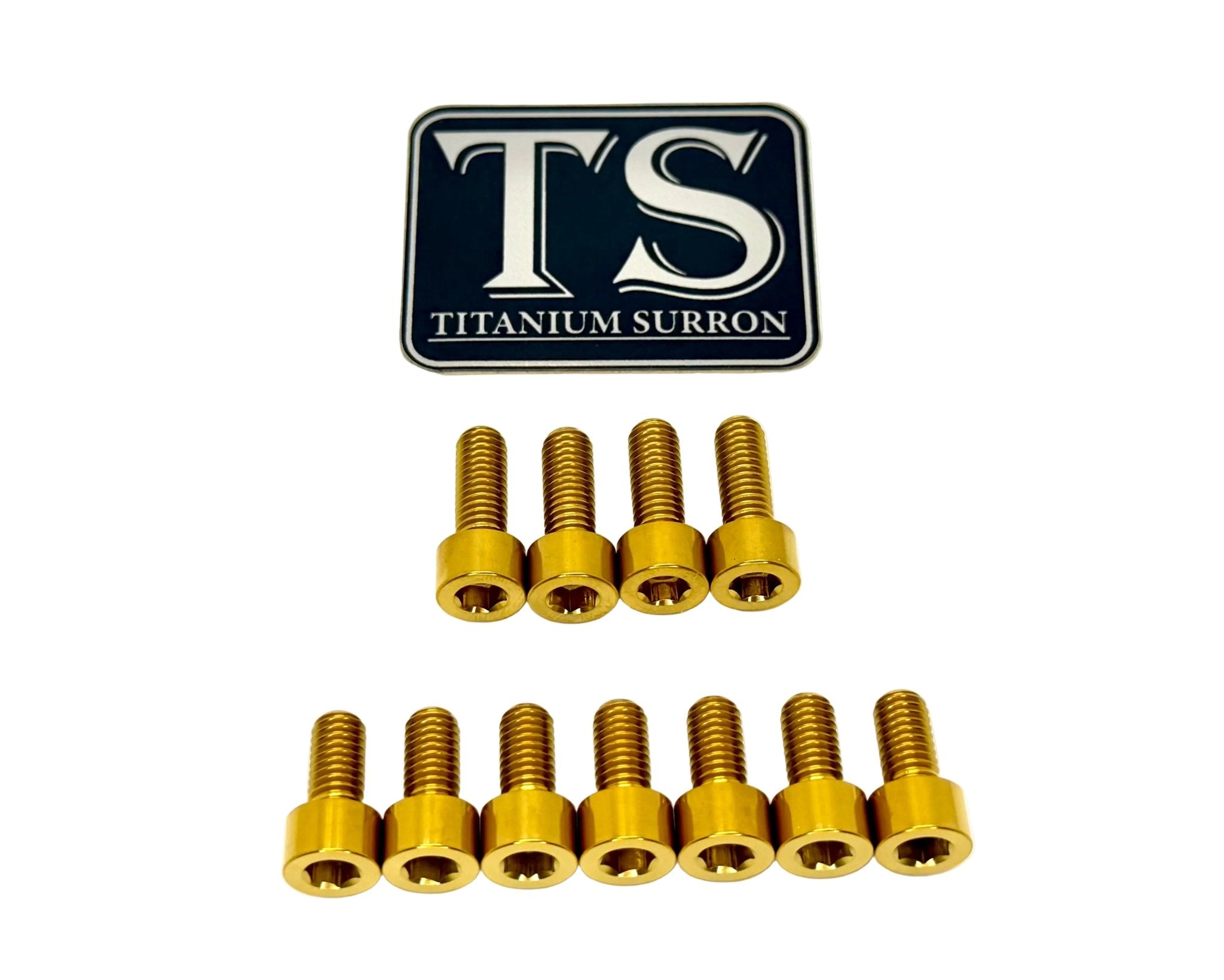 EXT Fork Titanium Bolt 11 Piece Kits