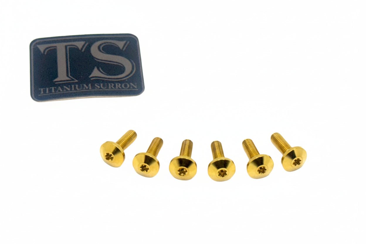 Front Rotor Screws - Surron, Talaria, Segway Titanium