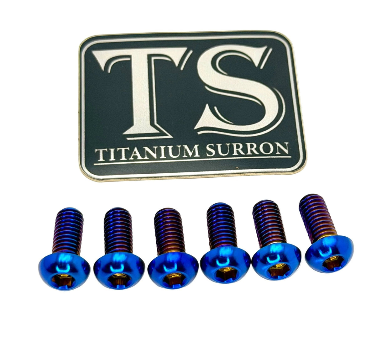 Front Rotor Screws - Surron, Talaria, Segway Titanium