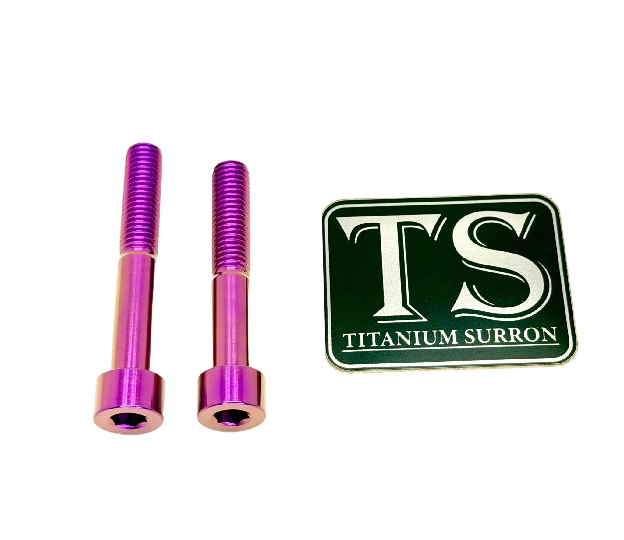 Titanium Hardware for EMoto Worx Shift Lock (LBX, XXX, ERP, Ultra Bee)