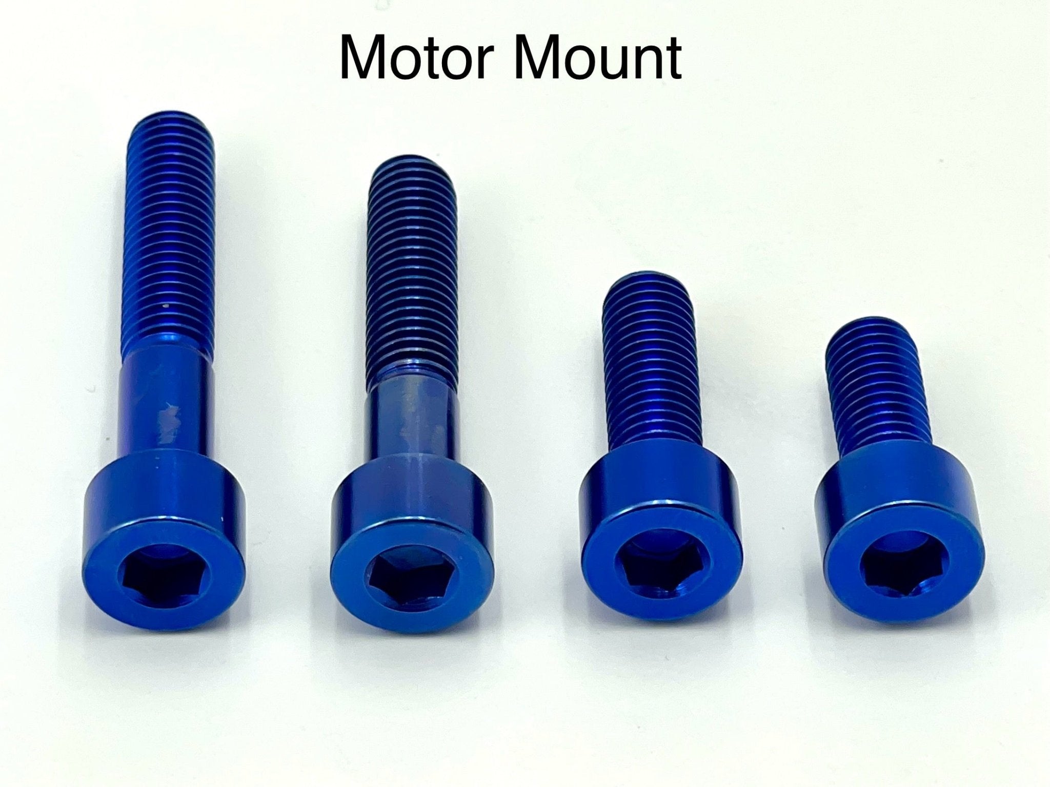Titanium Motor Bolts - E-Ride Pro