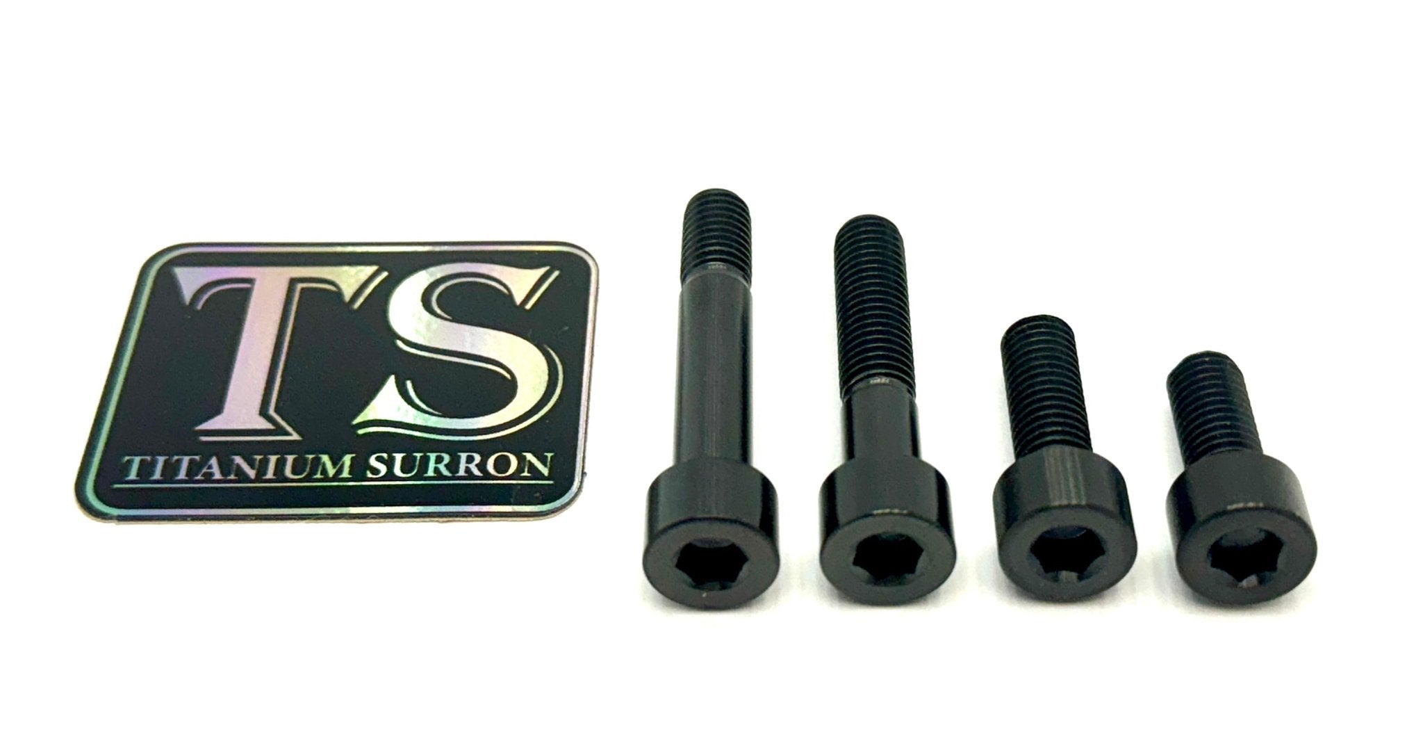Titanium Motor Bolts - E-Ride Pro