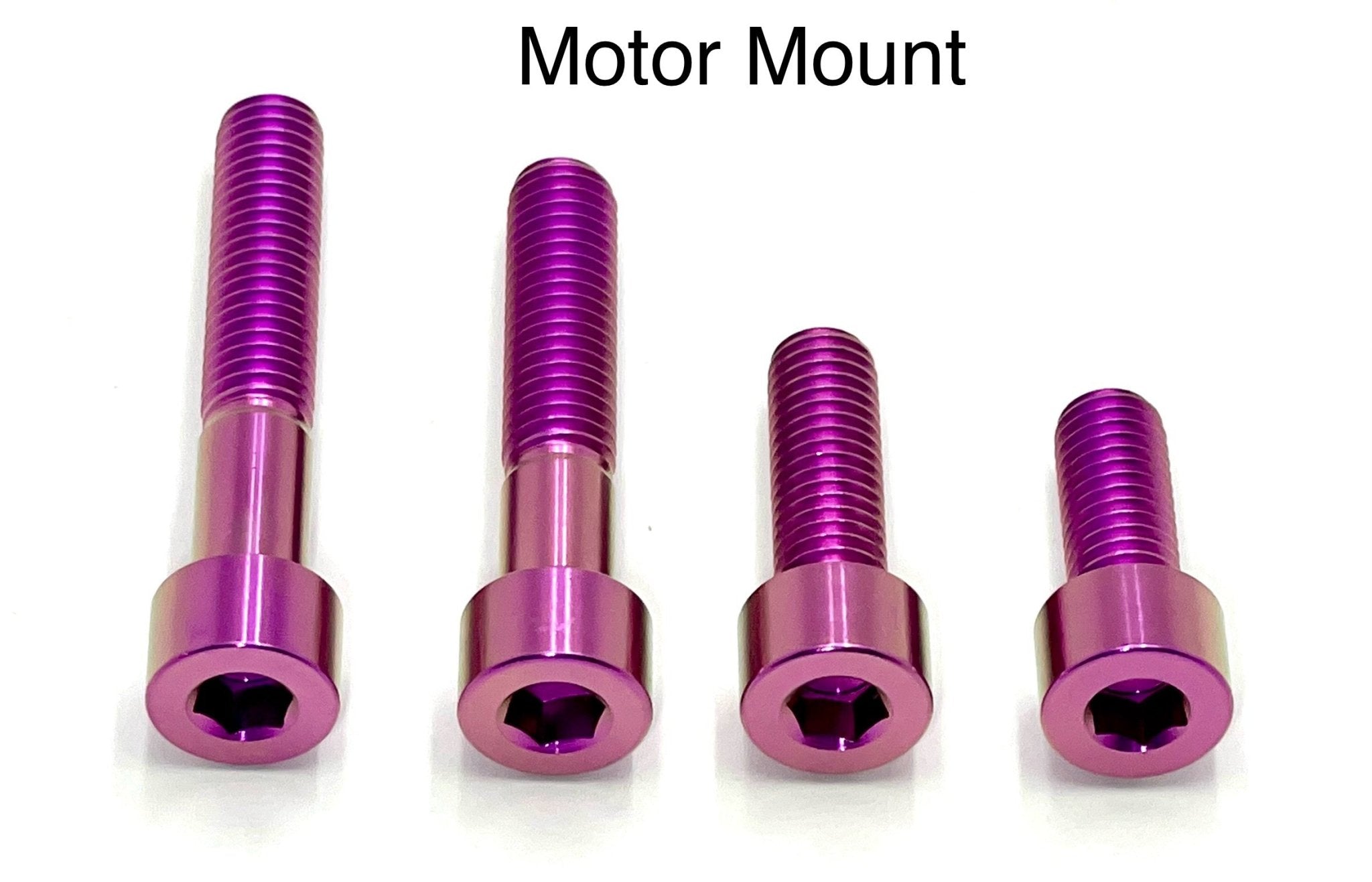 Titanium Motor Bolts - E-Ride Pro