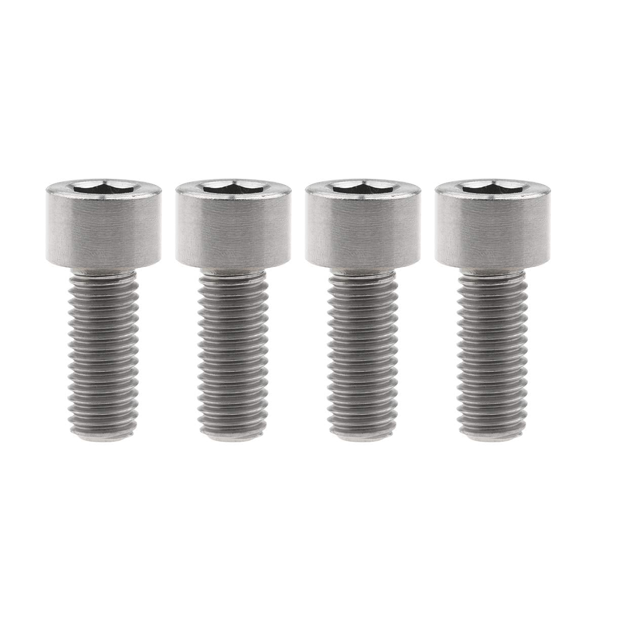 Titanium Motor Bolts - E-Ride Pro ERP SS and S