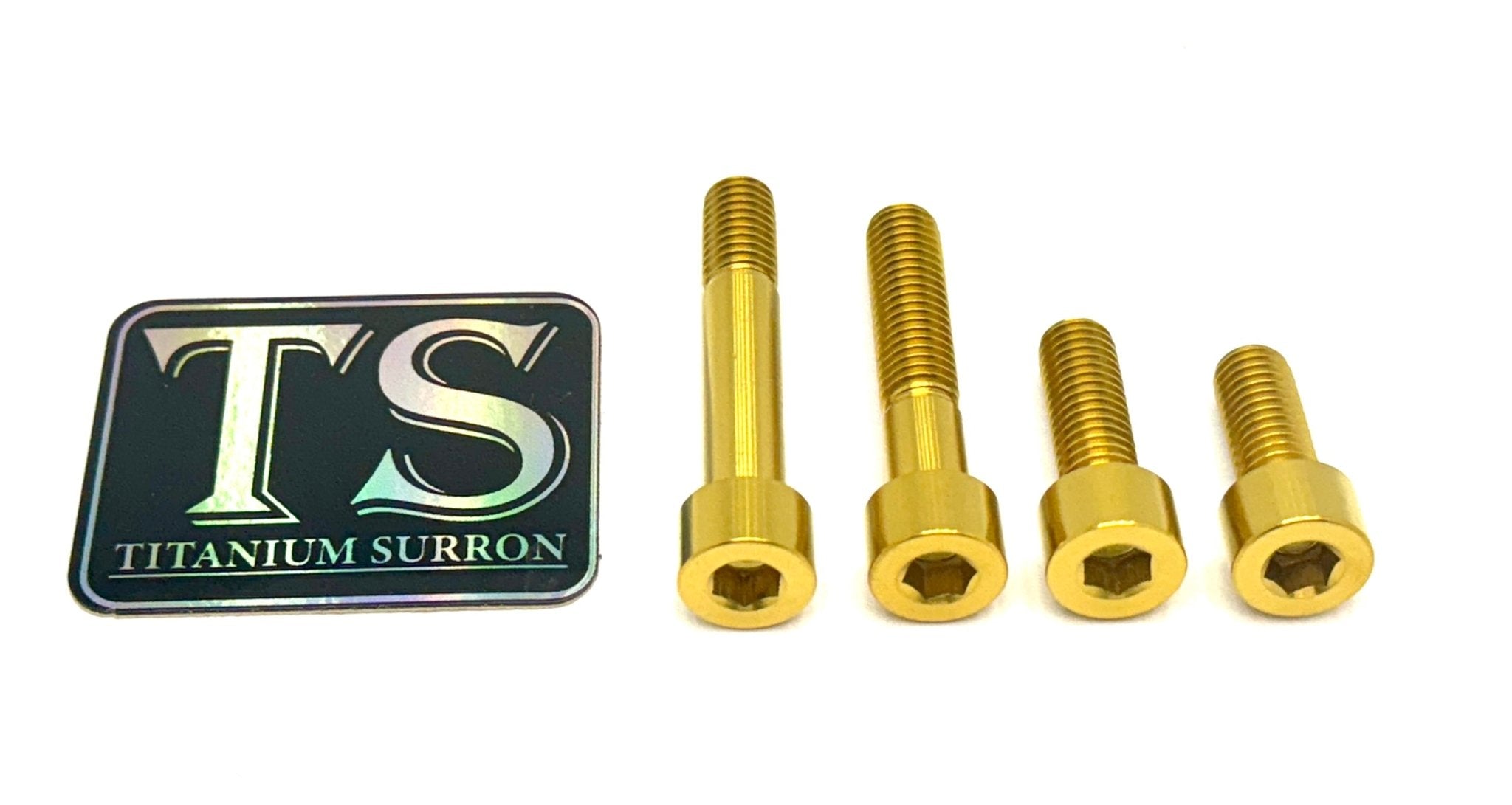 Titanium Motor Bolts - Surron LBS LBX, Segway X160 X260