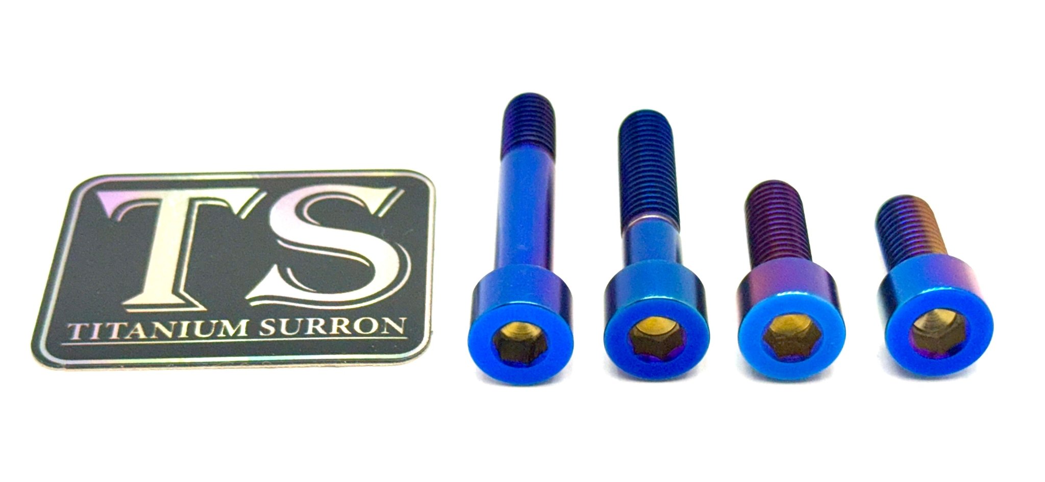 Titanium Motor Mount Bolts Surron LBX LBS Segway (4pcs)