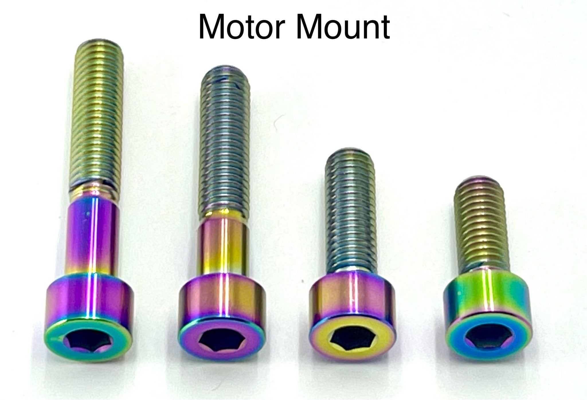 Titanium Motor Bolts - Surron LBS LBX, Segway X160 X260