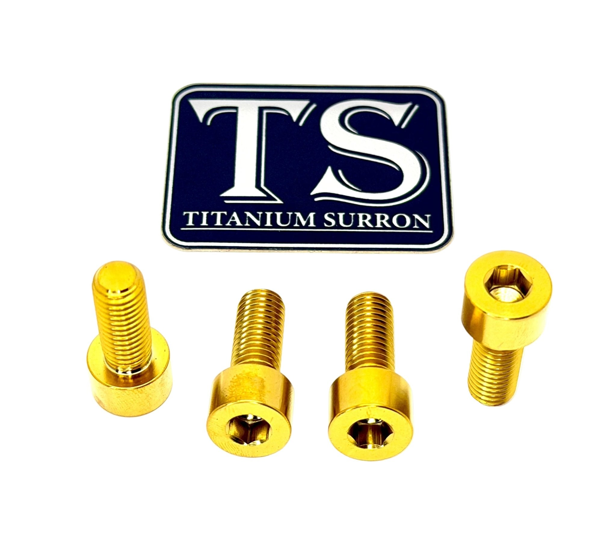 Titanium Peg Bracket Bolts - Surron, Talaria, E-Ride (Set of 4)