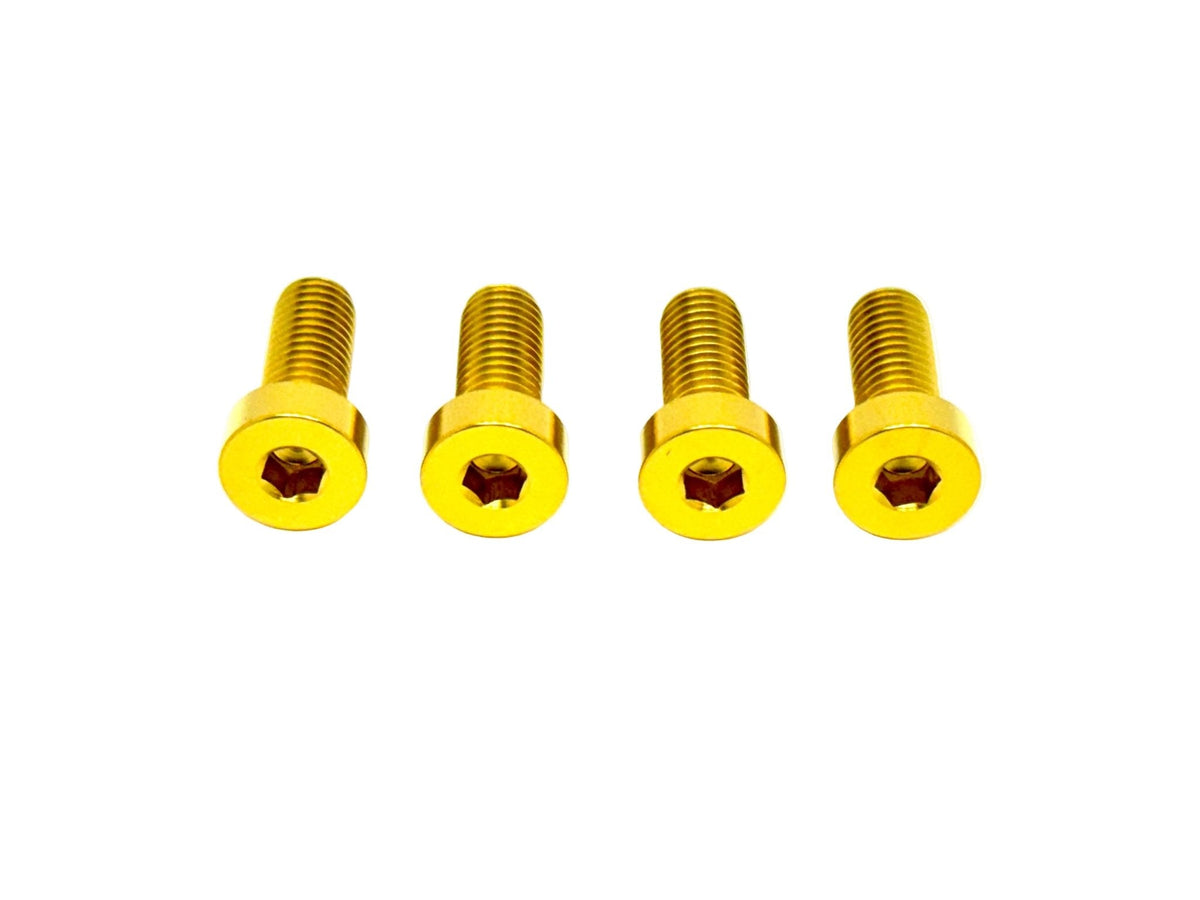 Talaria XXX Seat Subframe or Foot Peg Titanium Bolts (4)