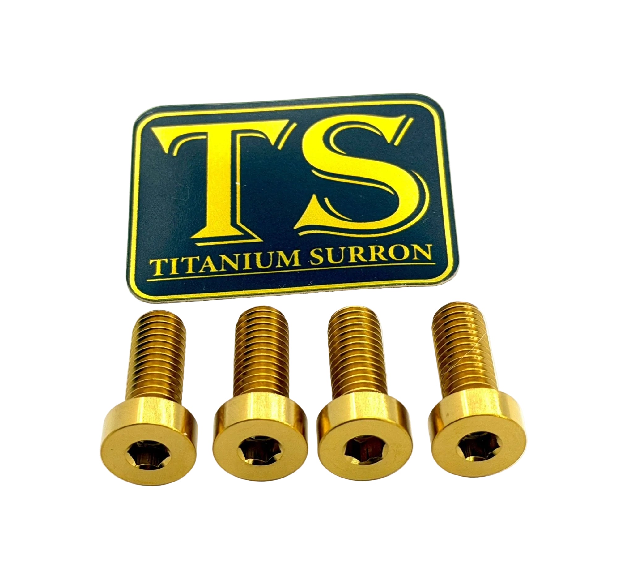 Talaria XXX Seat Subframe or Foot Peg Titanium Bolts (4)
