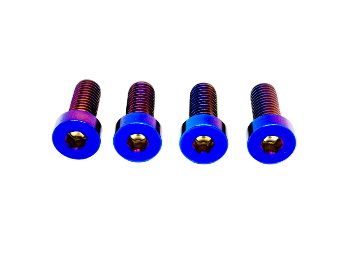 Talaria XXX Seat Subframe or Foot Peg Titanium Bolts (4)
