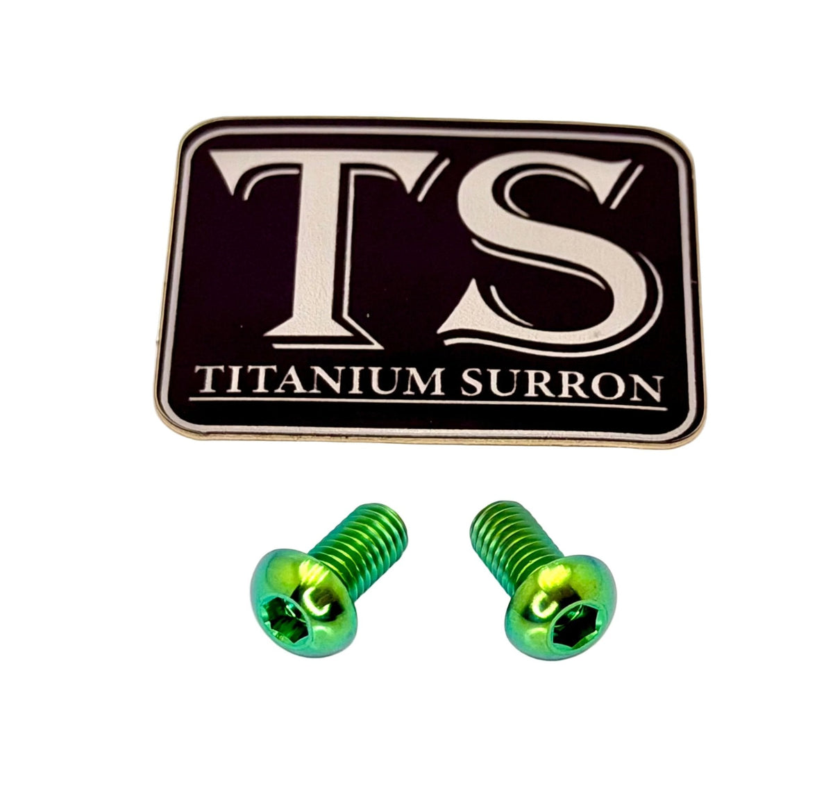 Titanium Ignition Cover Bolts (Set of Two) Surron, Segway, 79 Bike, E-Ride Pro