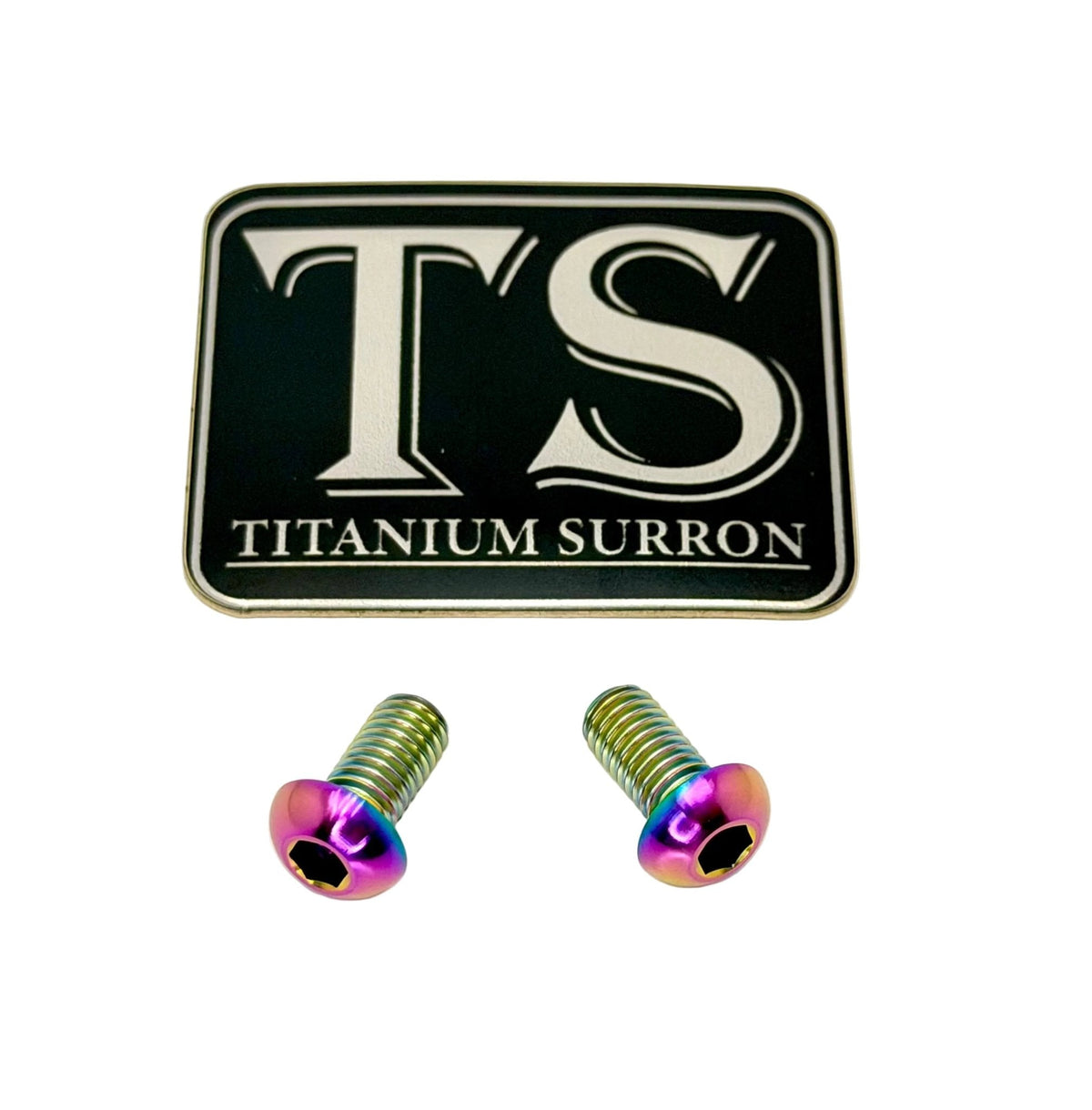Titanium Ignition Cover Bolts (Set of Two) Surron, Segway, 79 Bike, E-Ride Pro