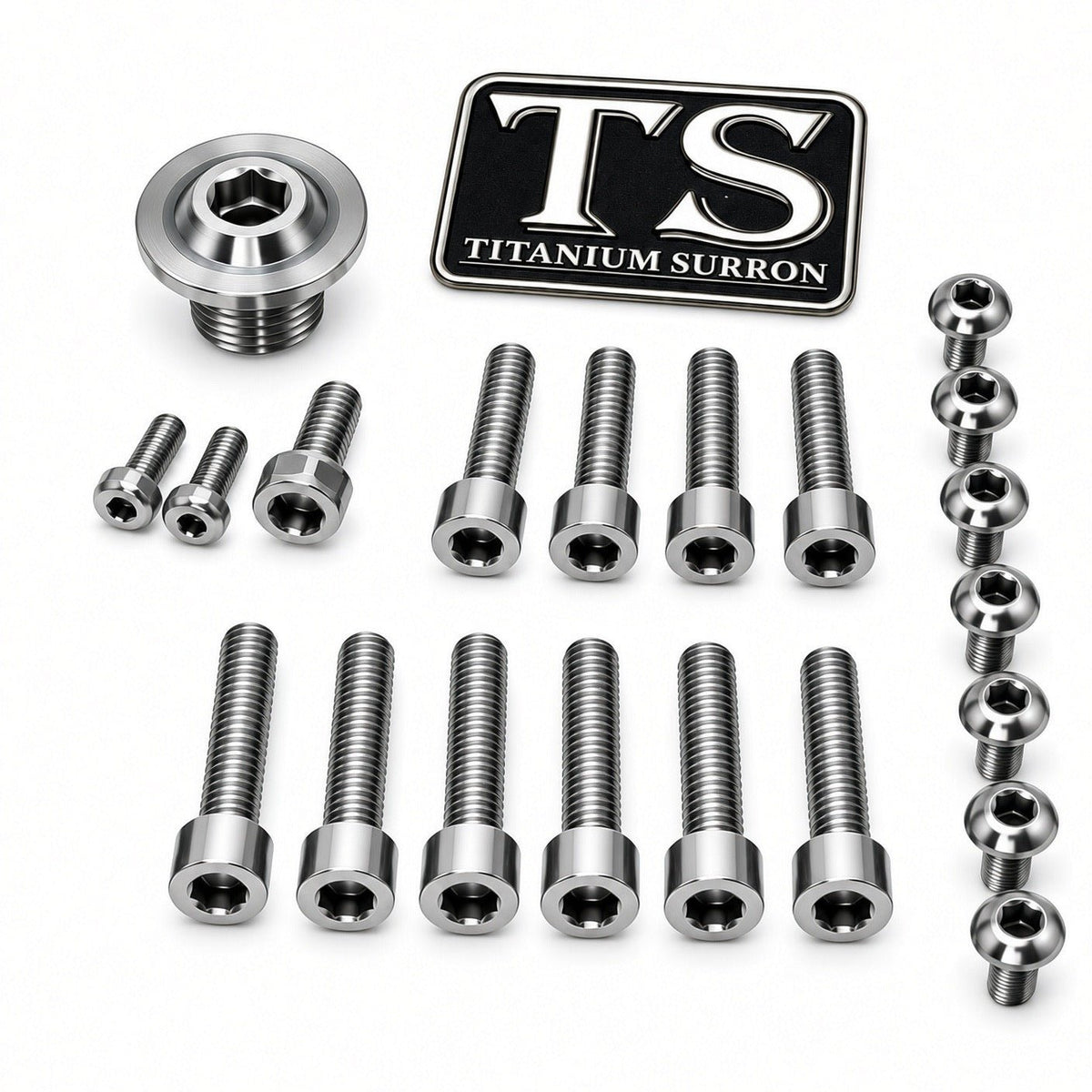 Titanium Surron Ultra Bee OEM Fork Bolt Kit
