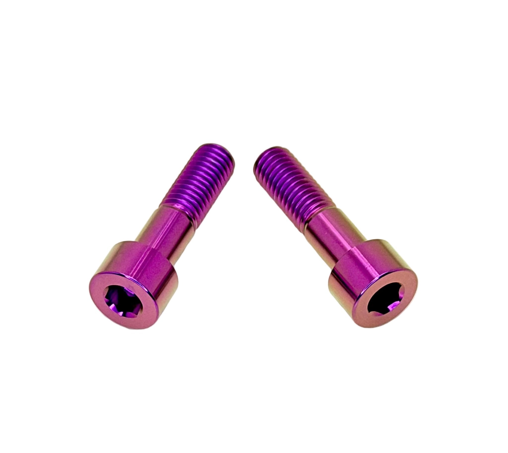 Titanium Triangle OEM Style Bolts - Surron LBS LBX, Segway X160 X260 (2)
