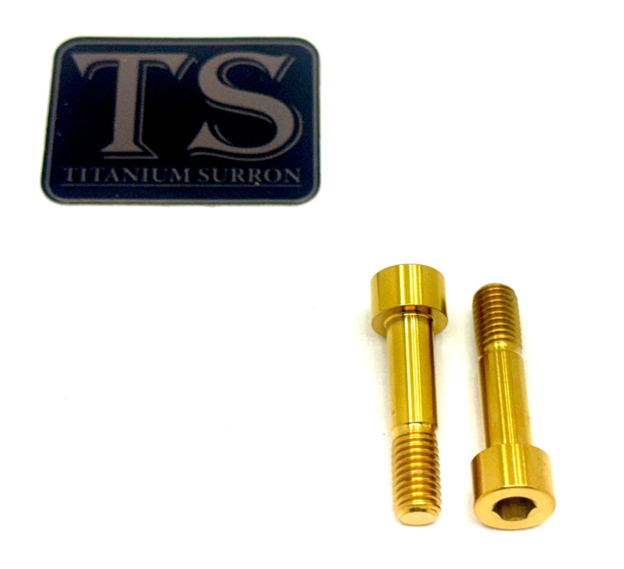 Titanium Triangle OEM Style Bolts Surron Segway (2 pcs)